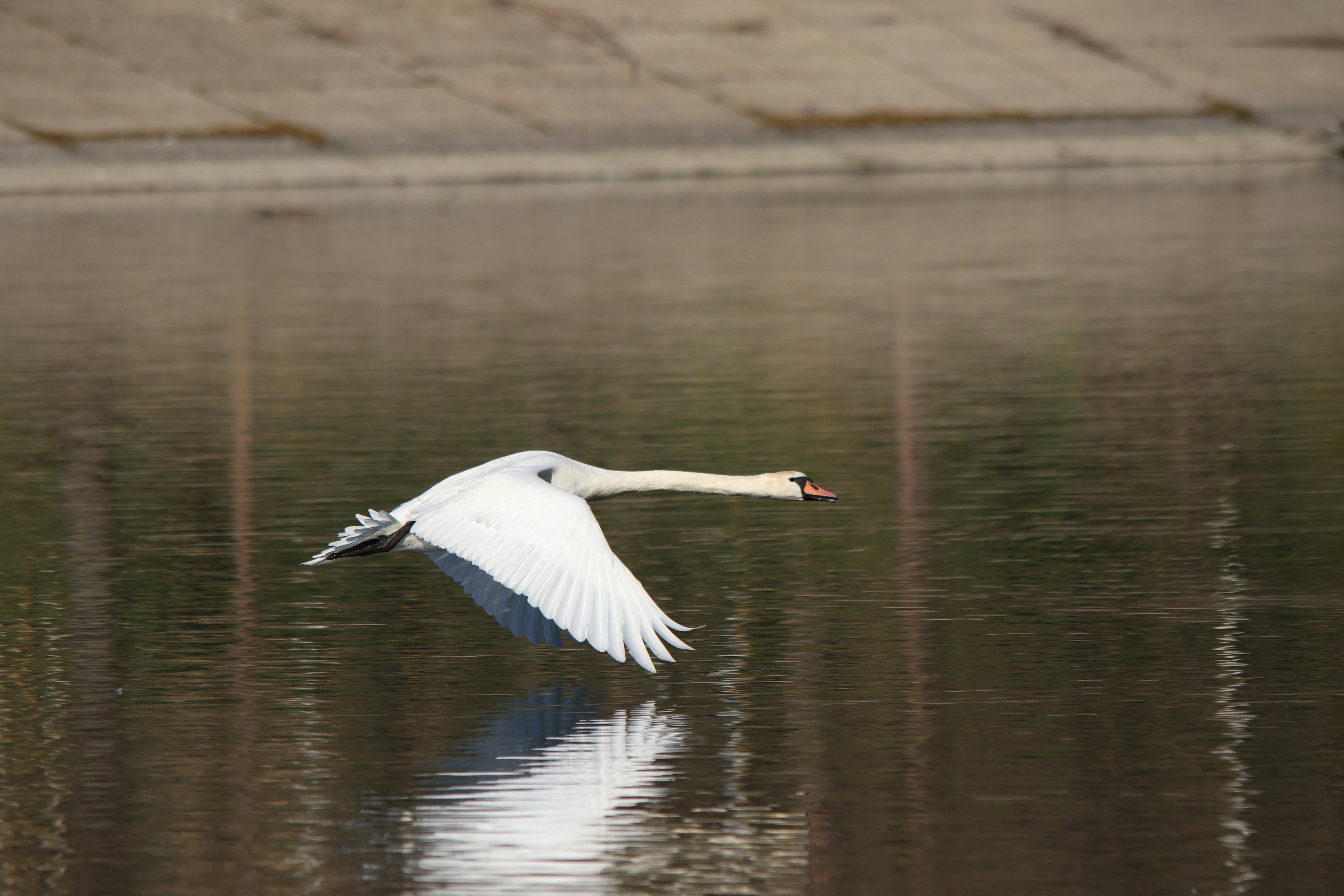 Photo by fotografialuivlad