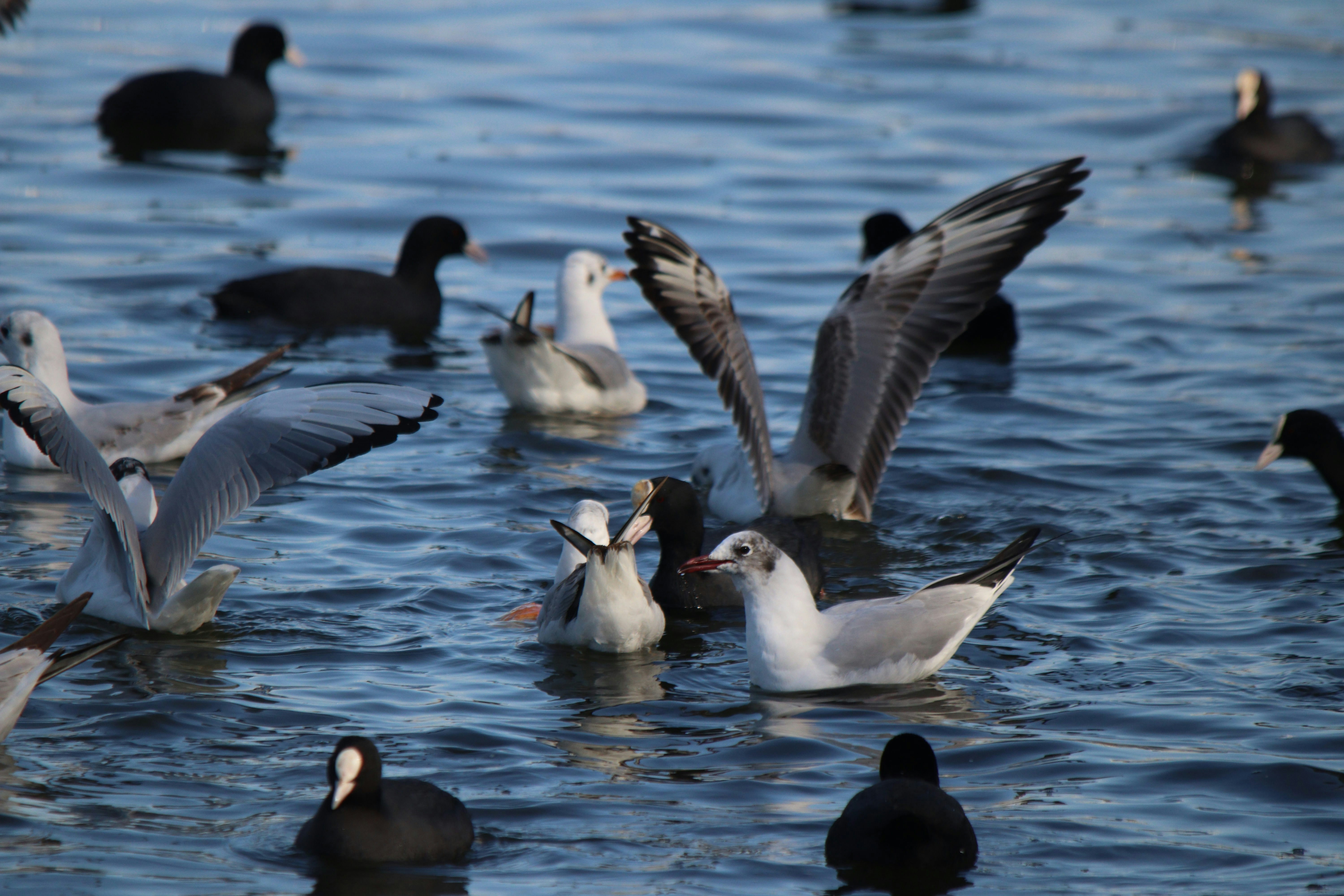 Photo by fotografialuivlad