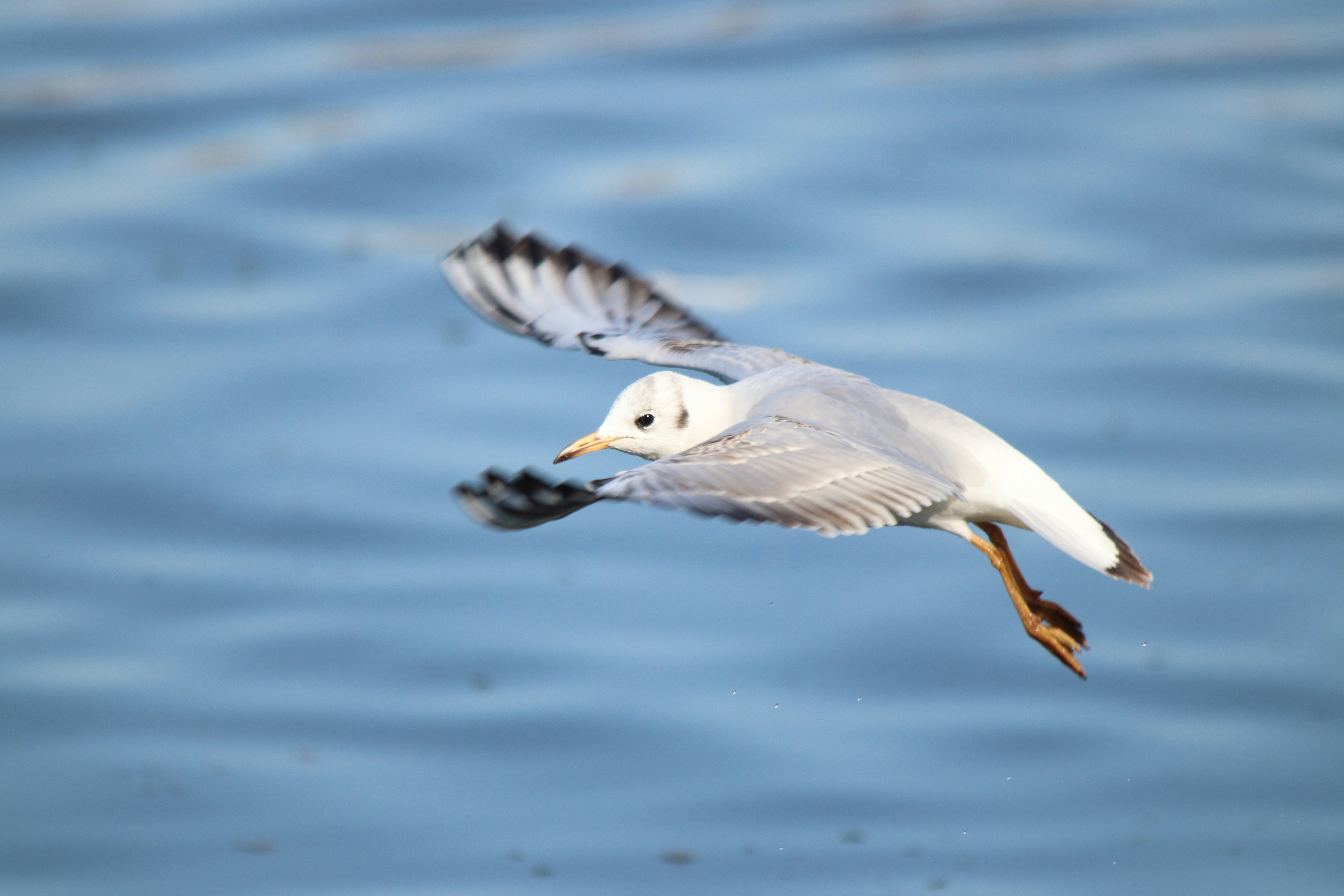 Photo by fotografialuivlad