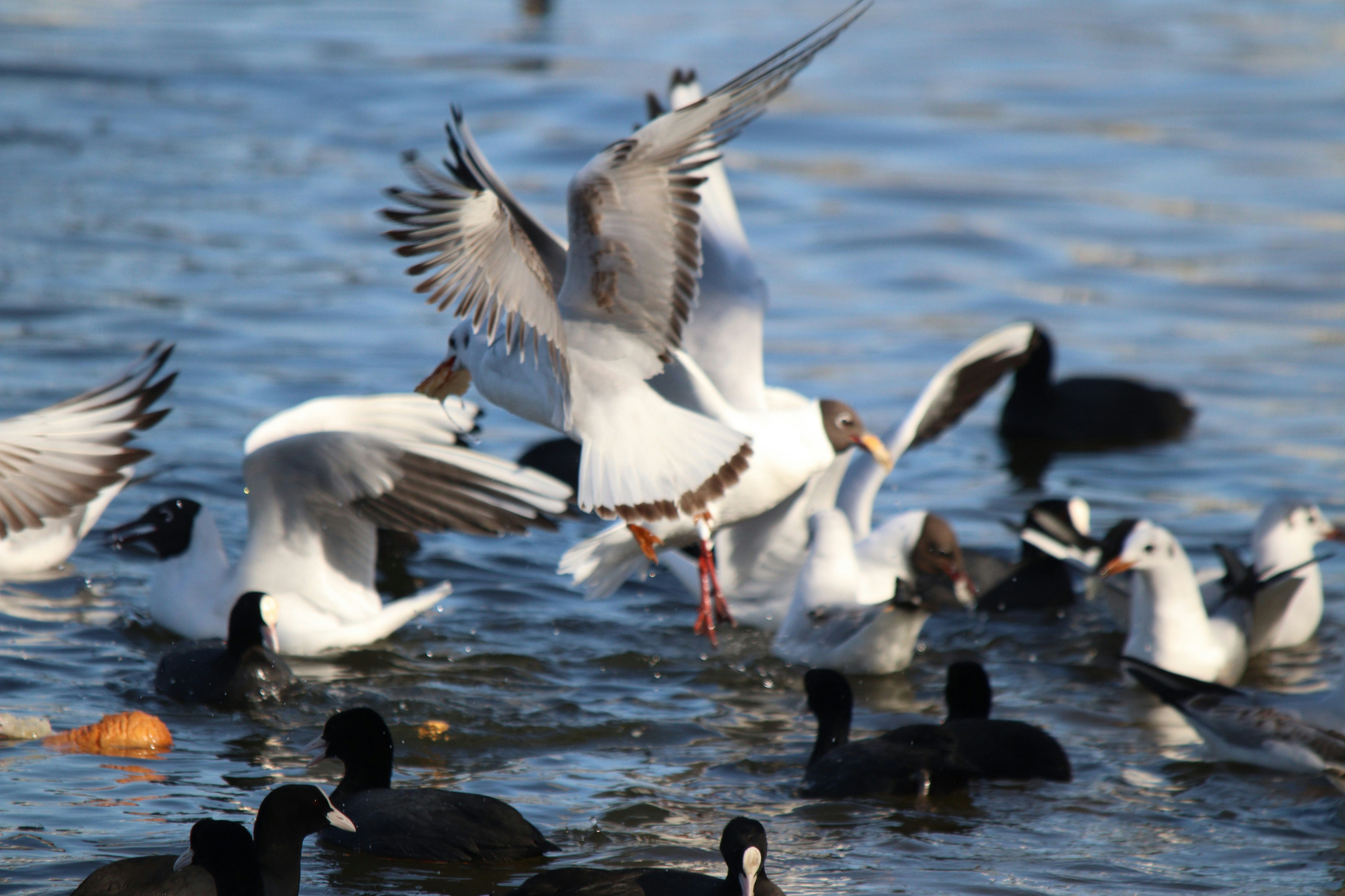 Photo by fotografialuivlad