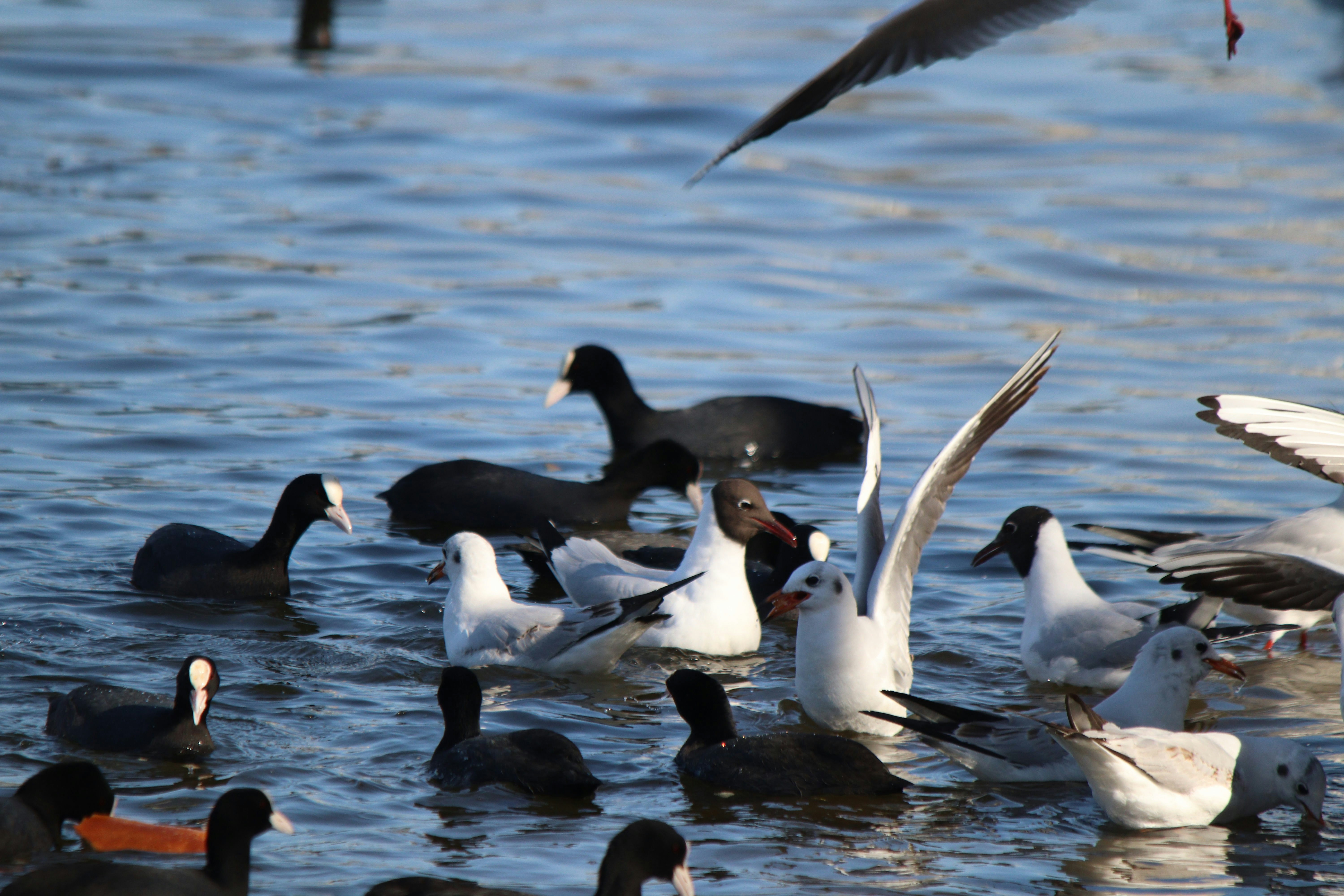 Photo by fotografialuivlad