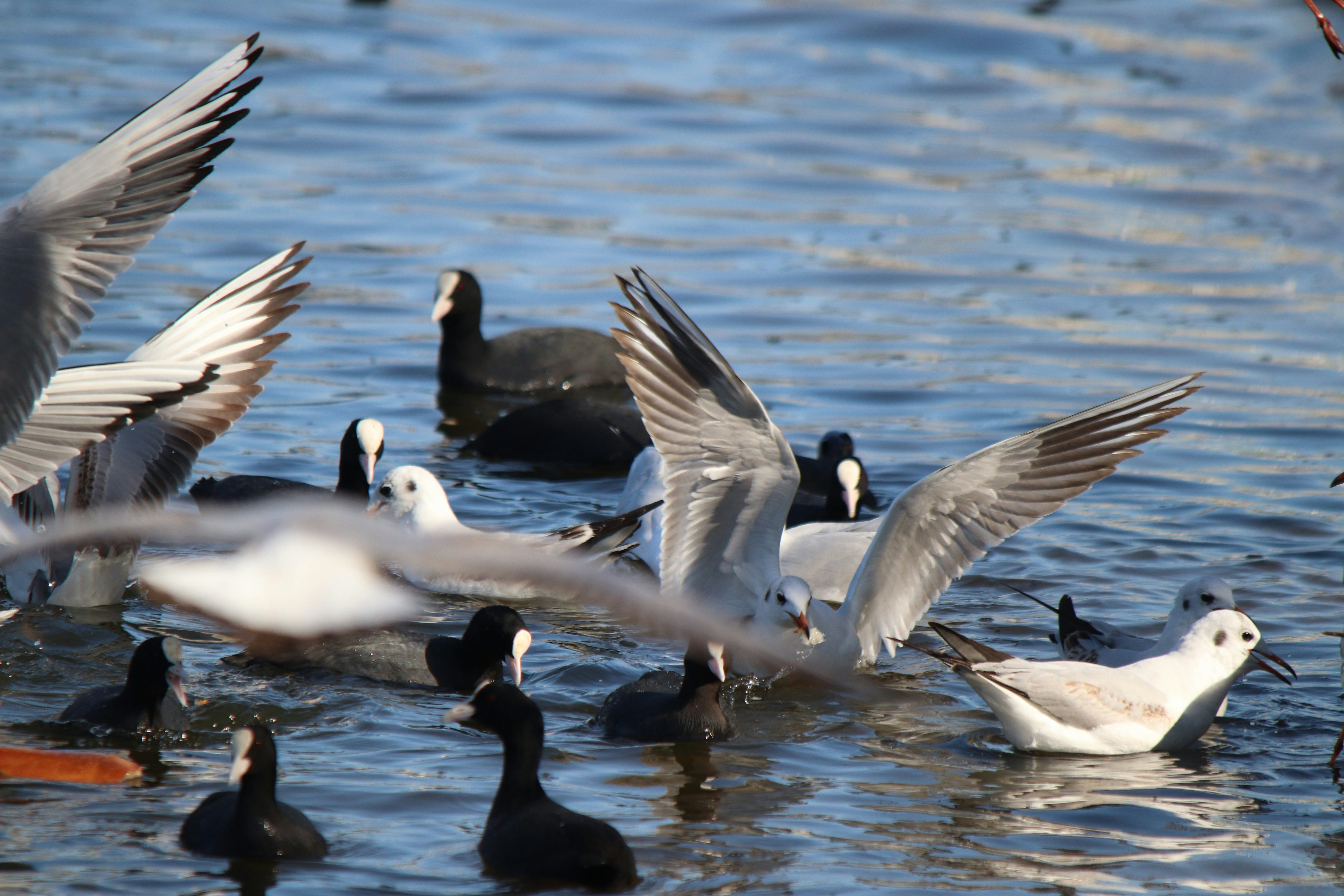 Photo by fotografialuivlad