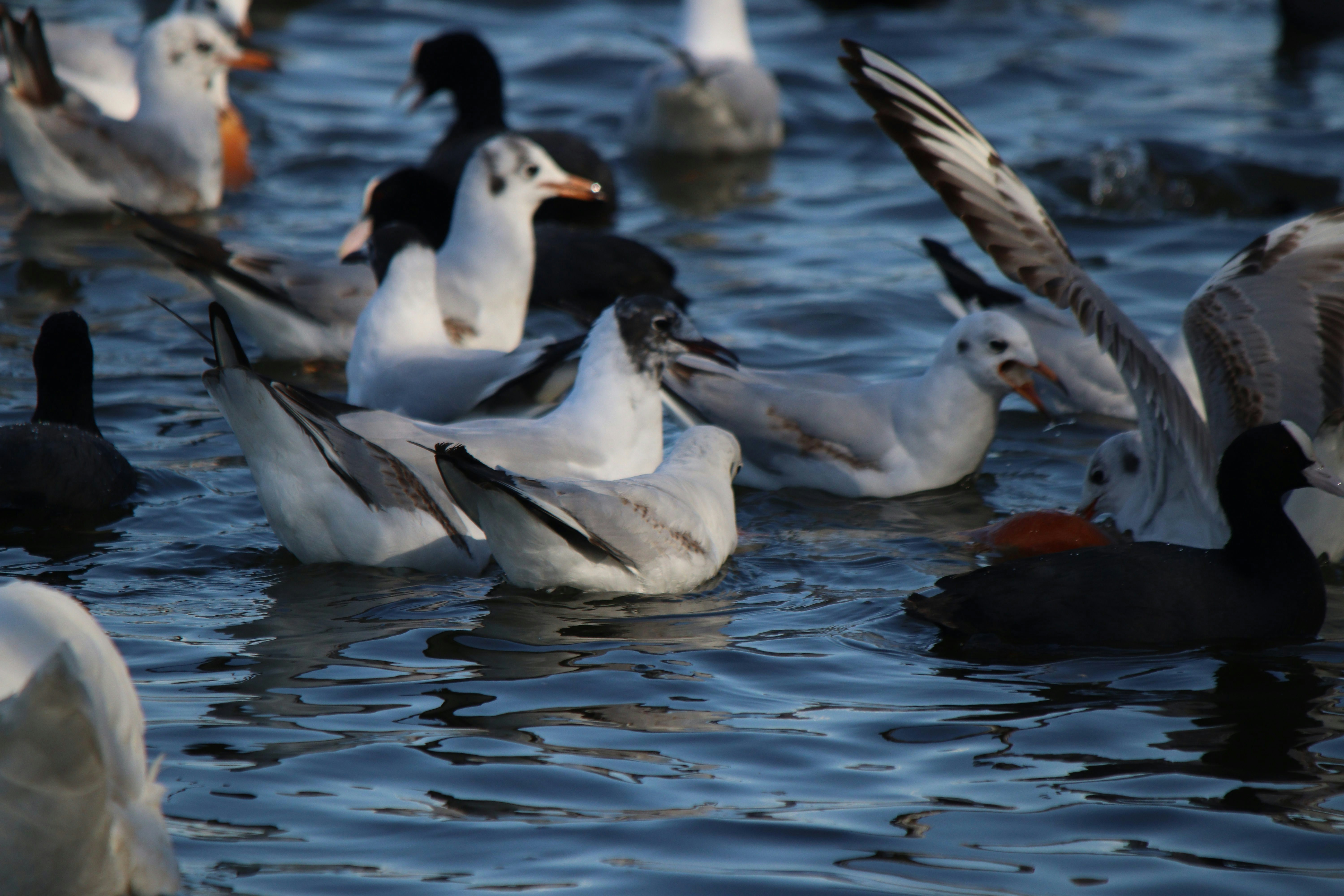 Photo by fotografialuivlad