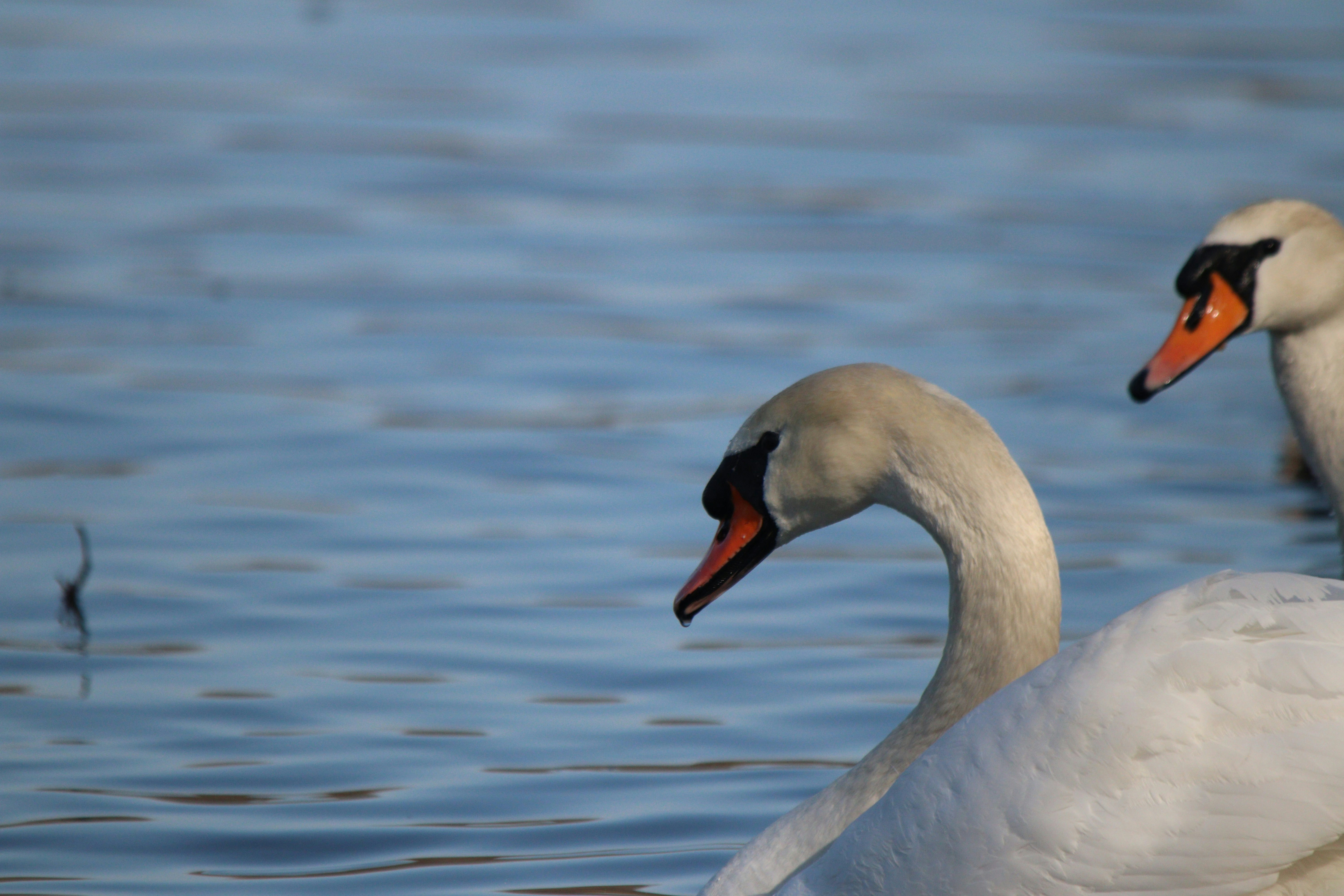 Photo by fotografialuivlad