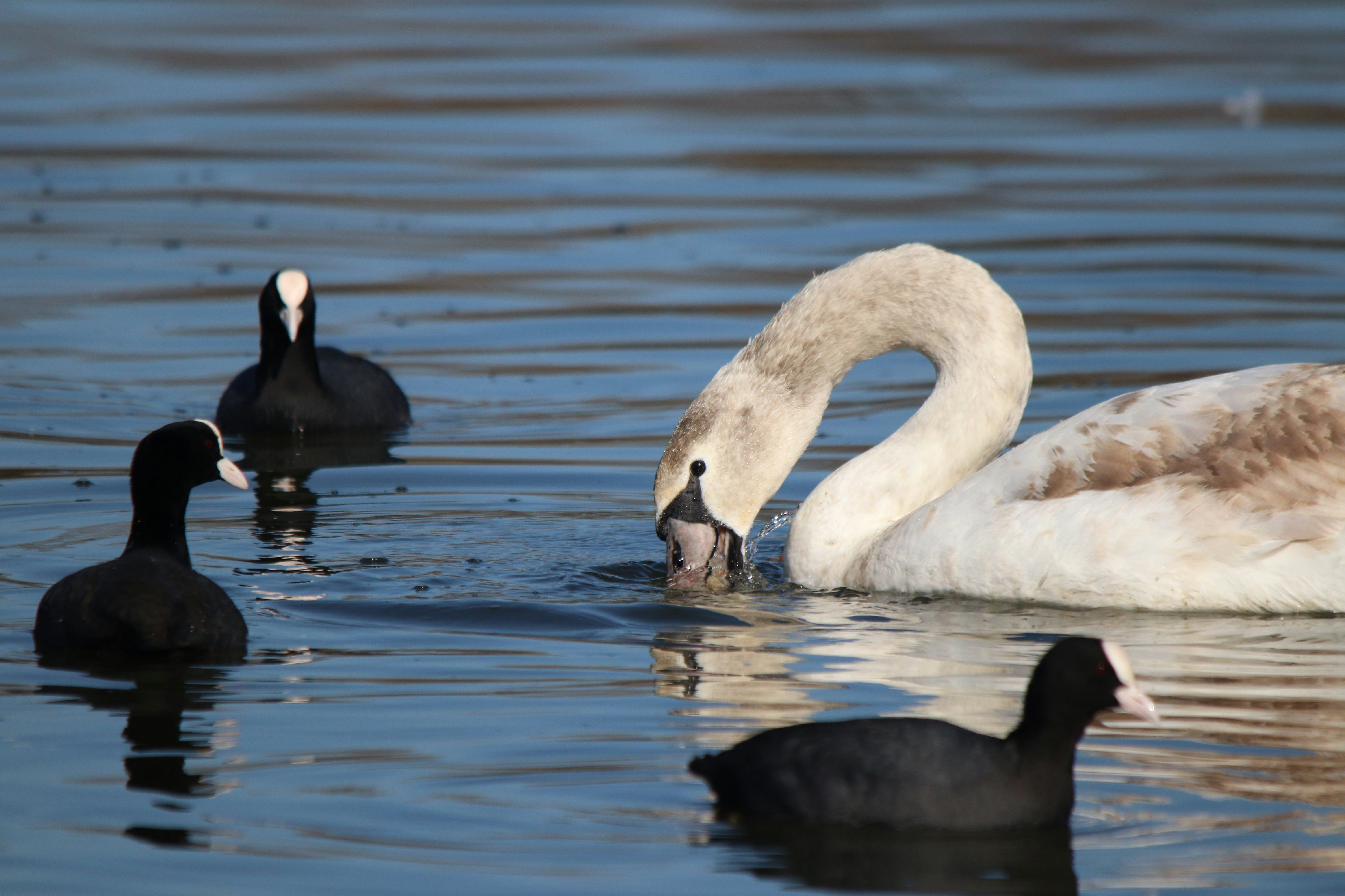 Photo by fotografialuivlad