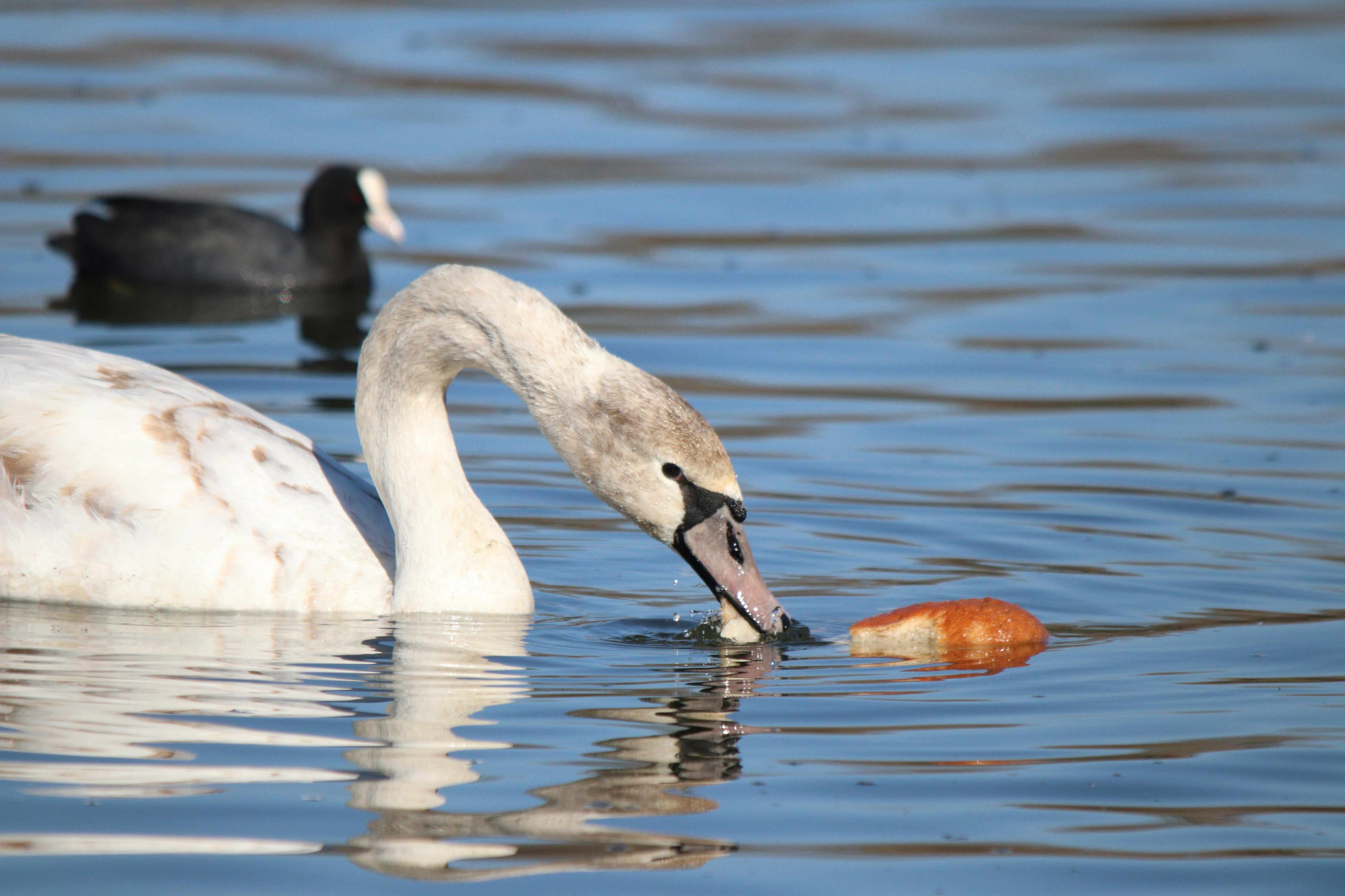 Photo by fotografialuivlad