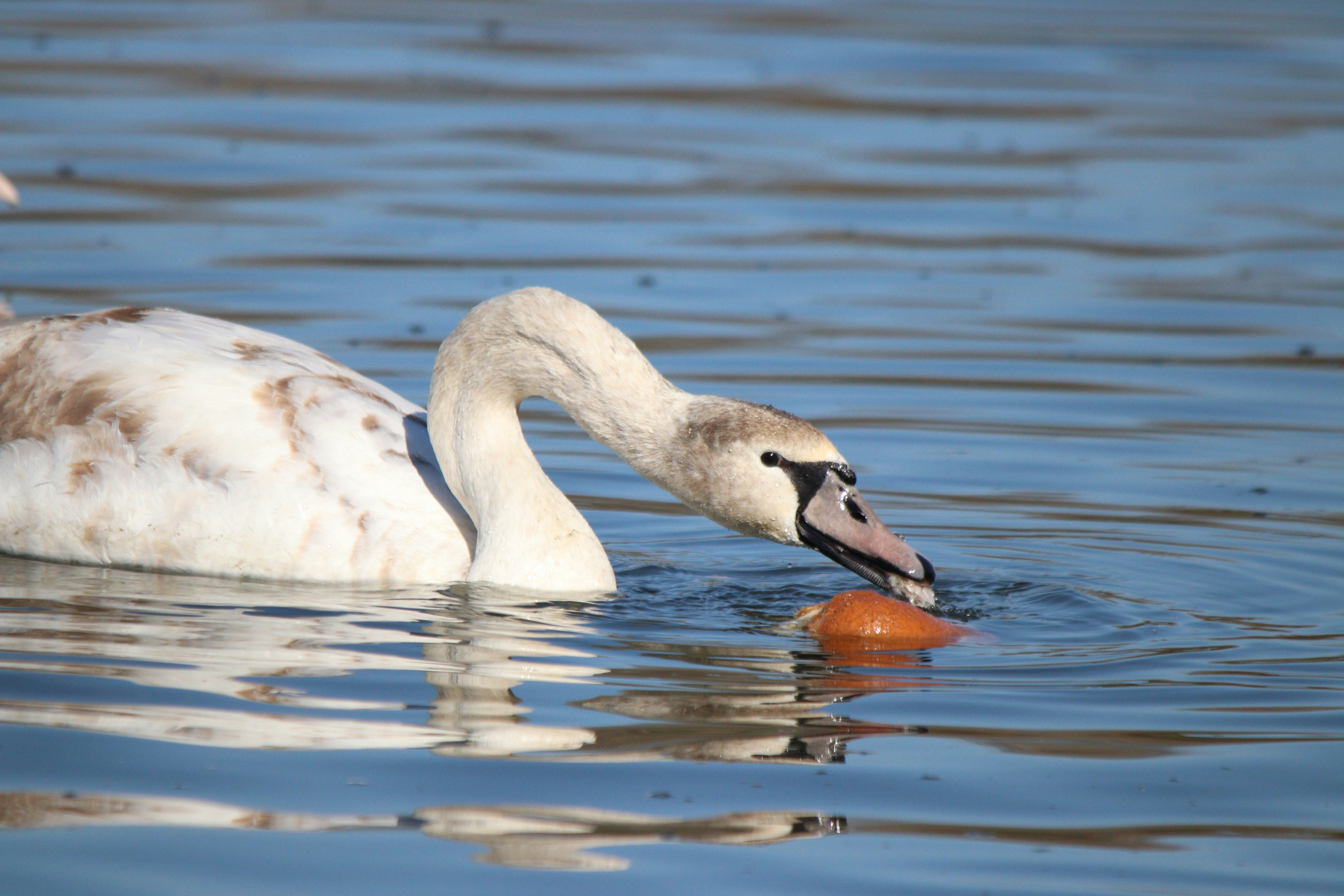 Photo by fotografialuivlad