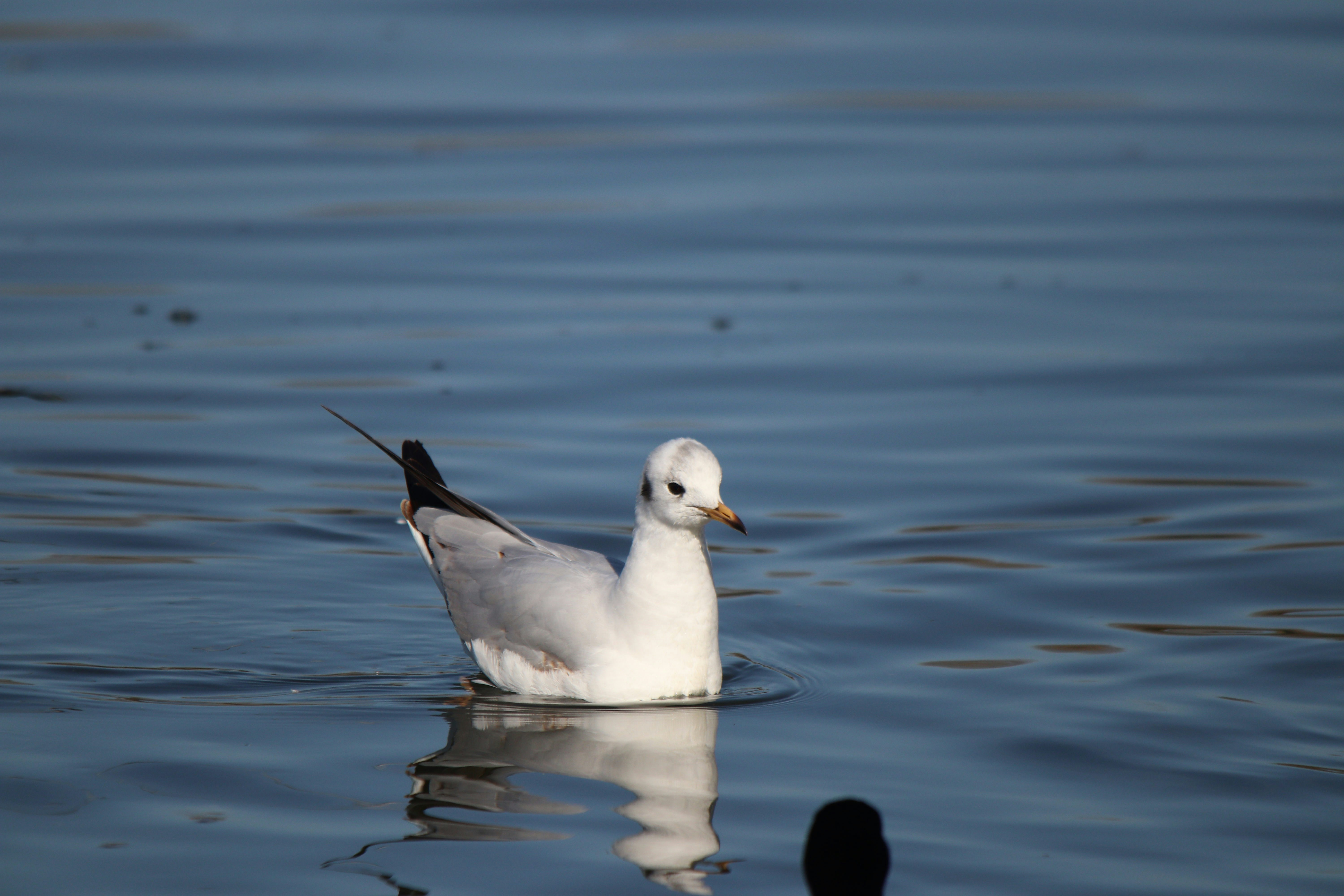 Photo by fotografialuivlad