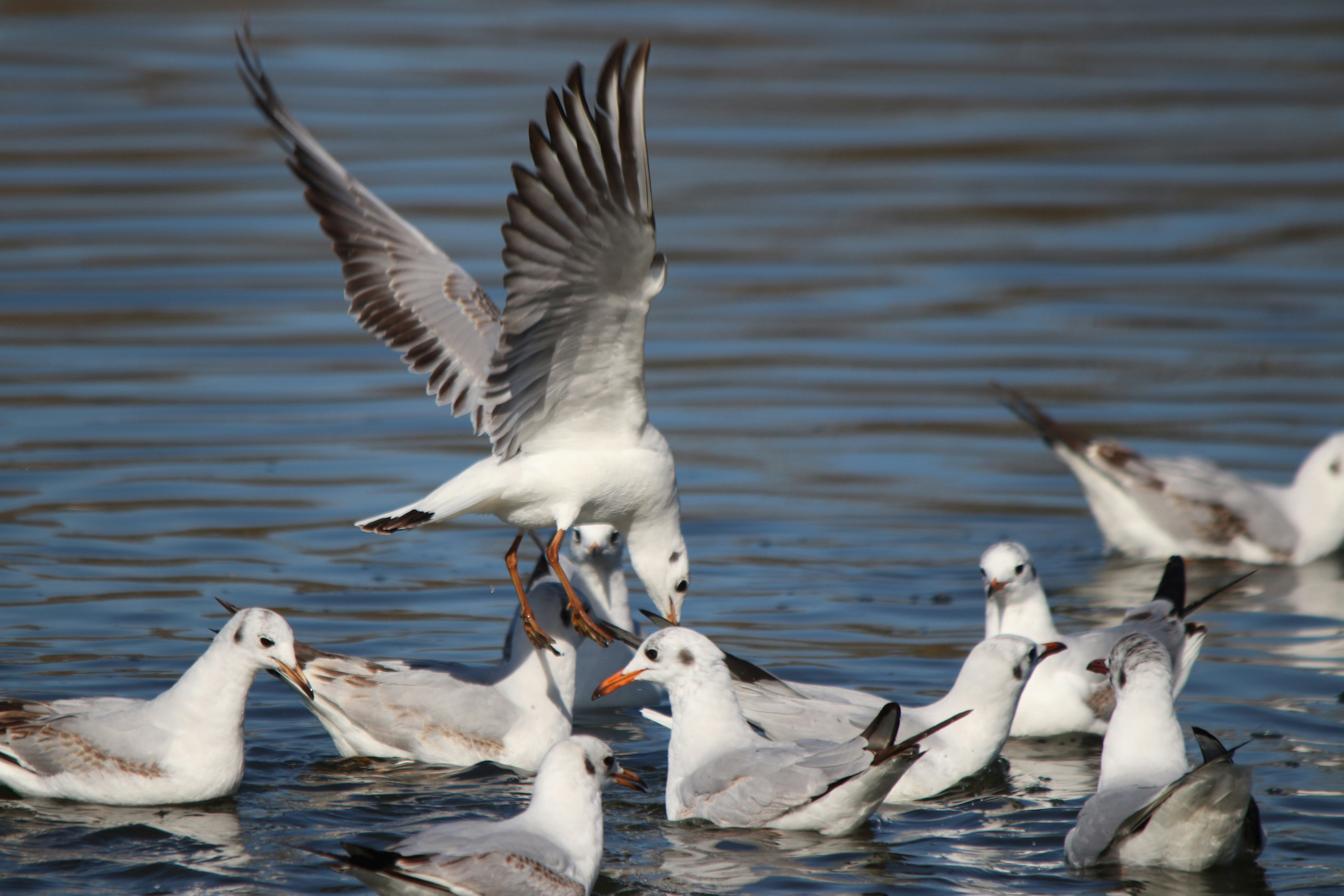 Photo by fotografialuivlad