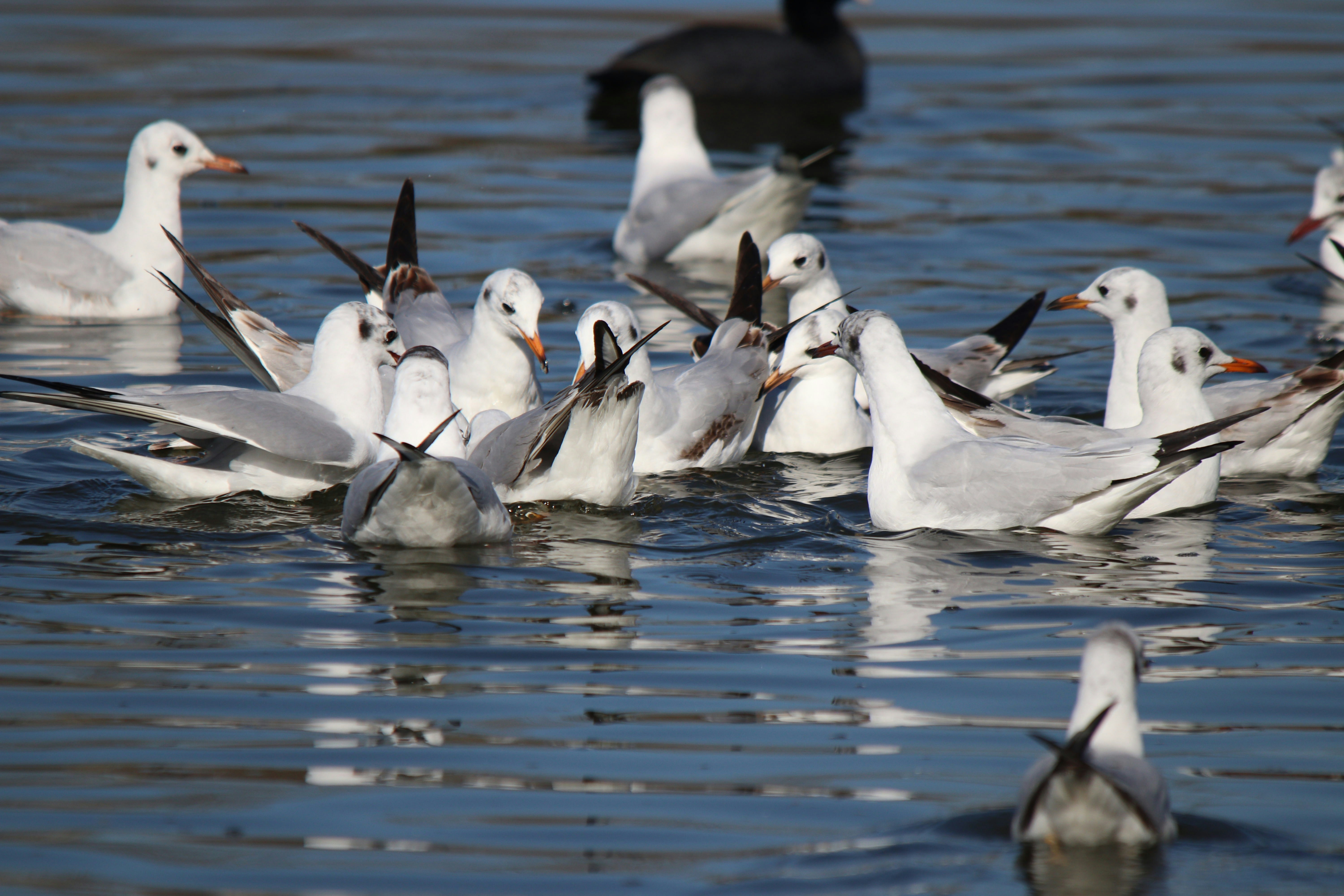 Photo by fotografialuivlad