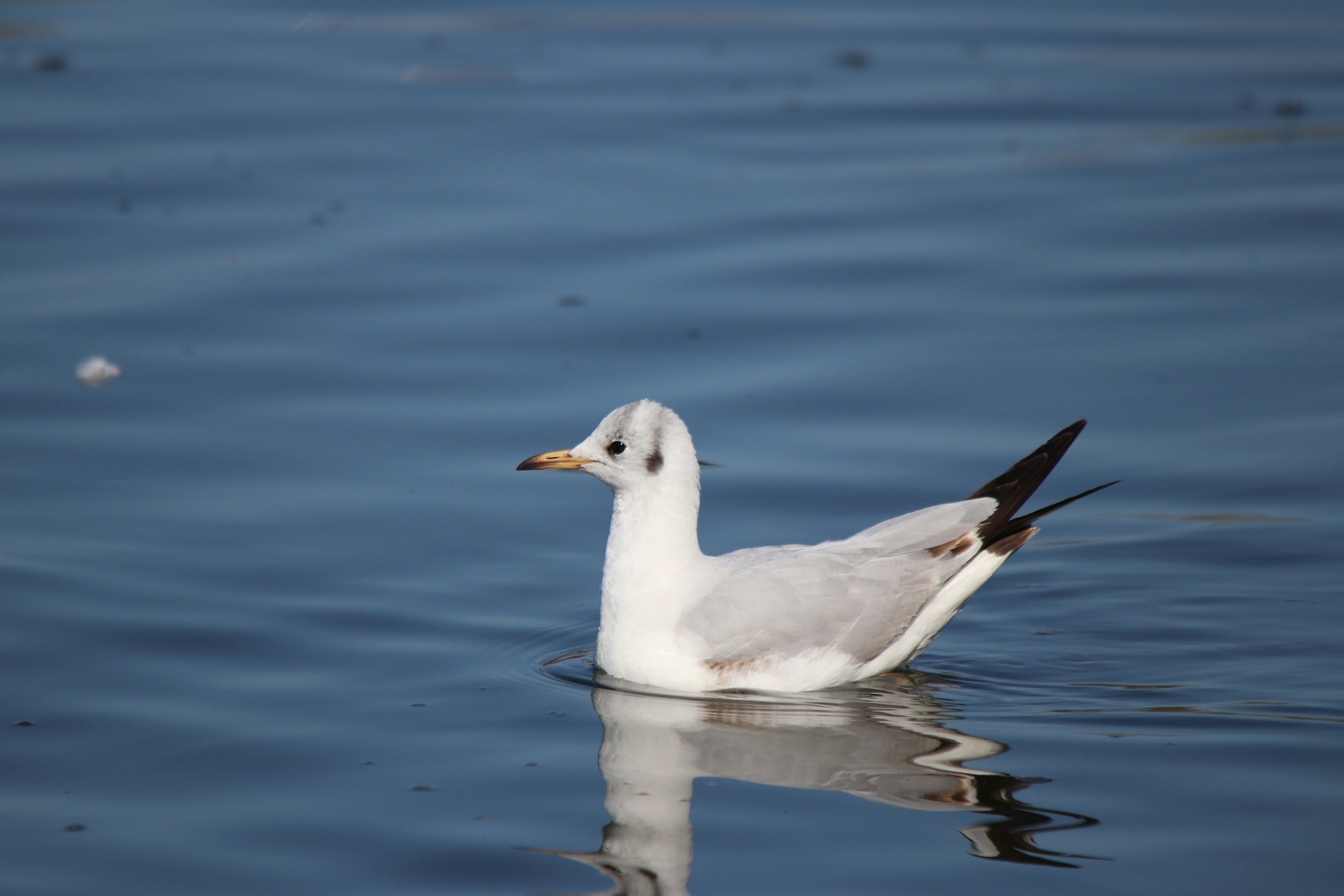 Photo by fotografialuivlad