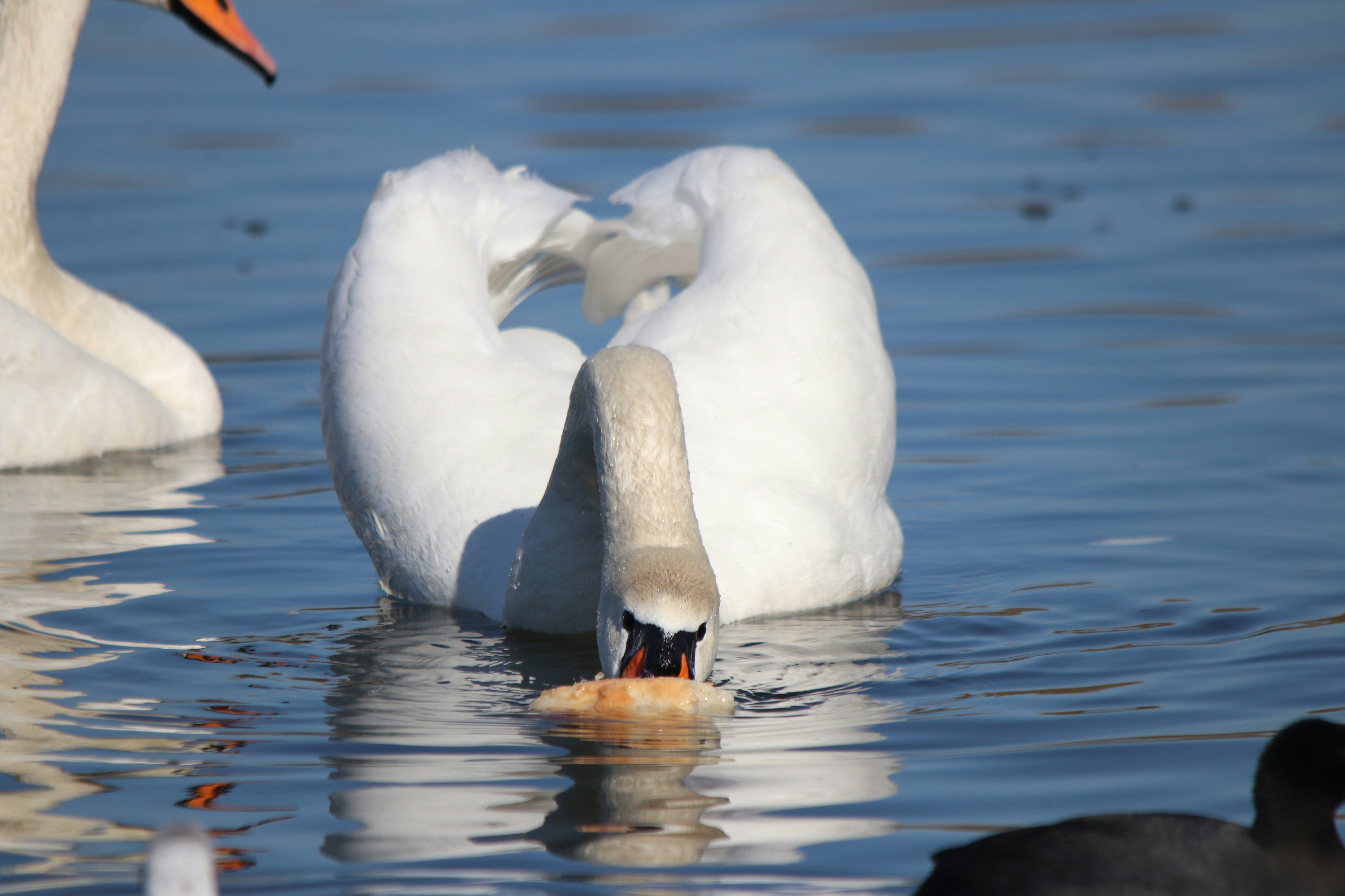 Photo by fotografialuivlad