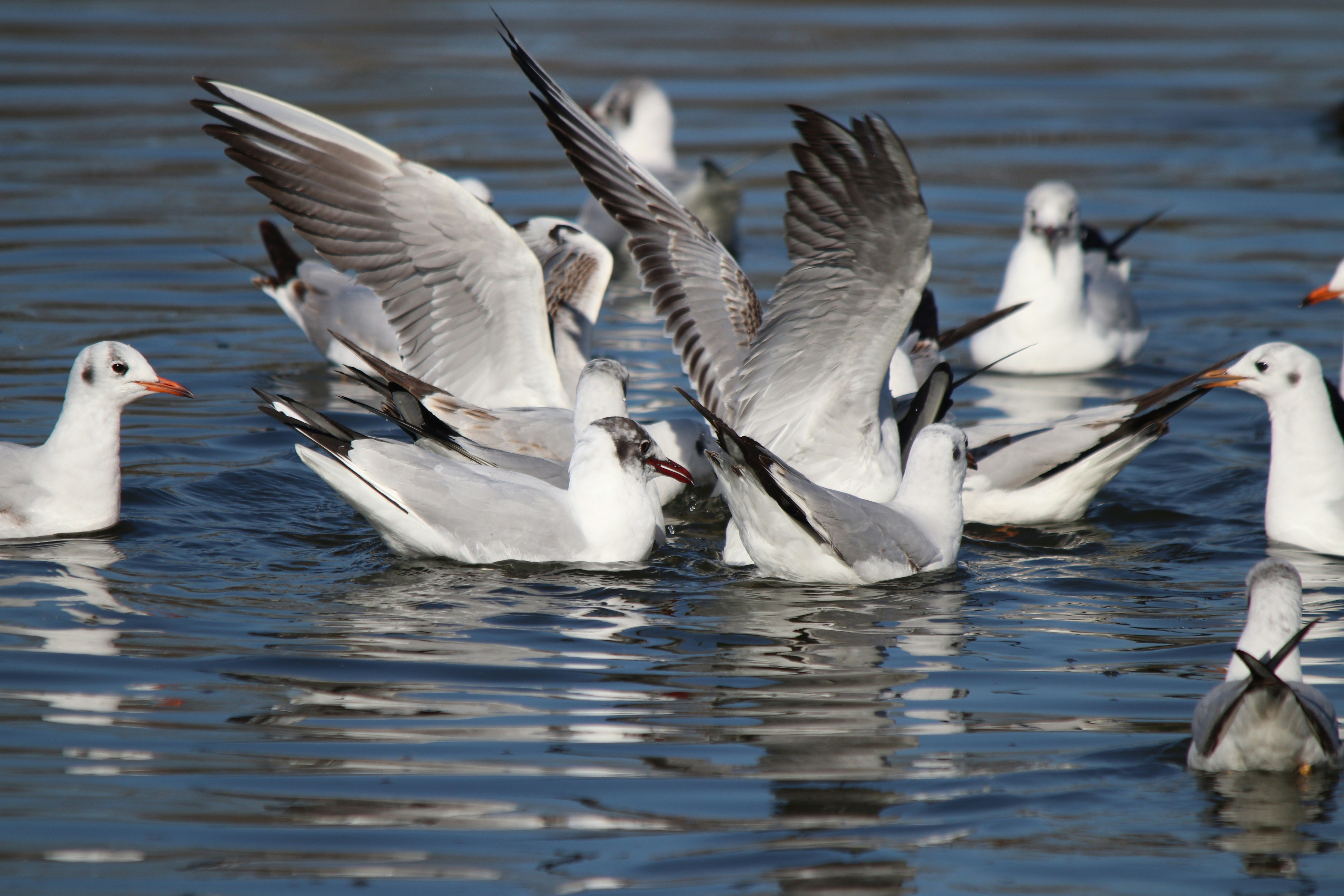 Photo by fotografialuivlad