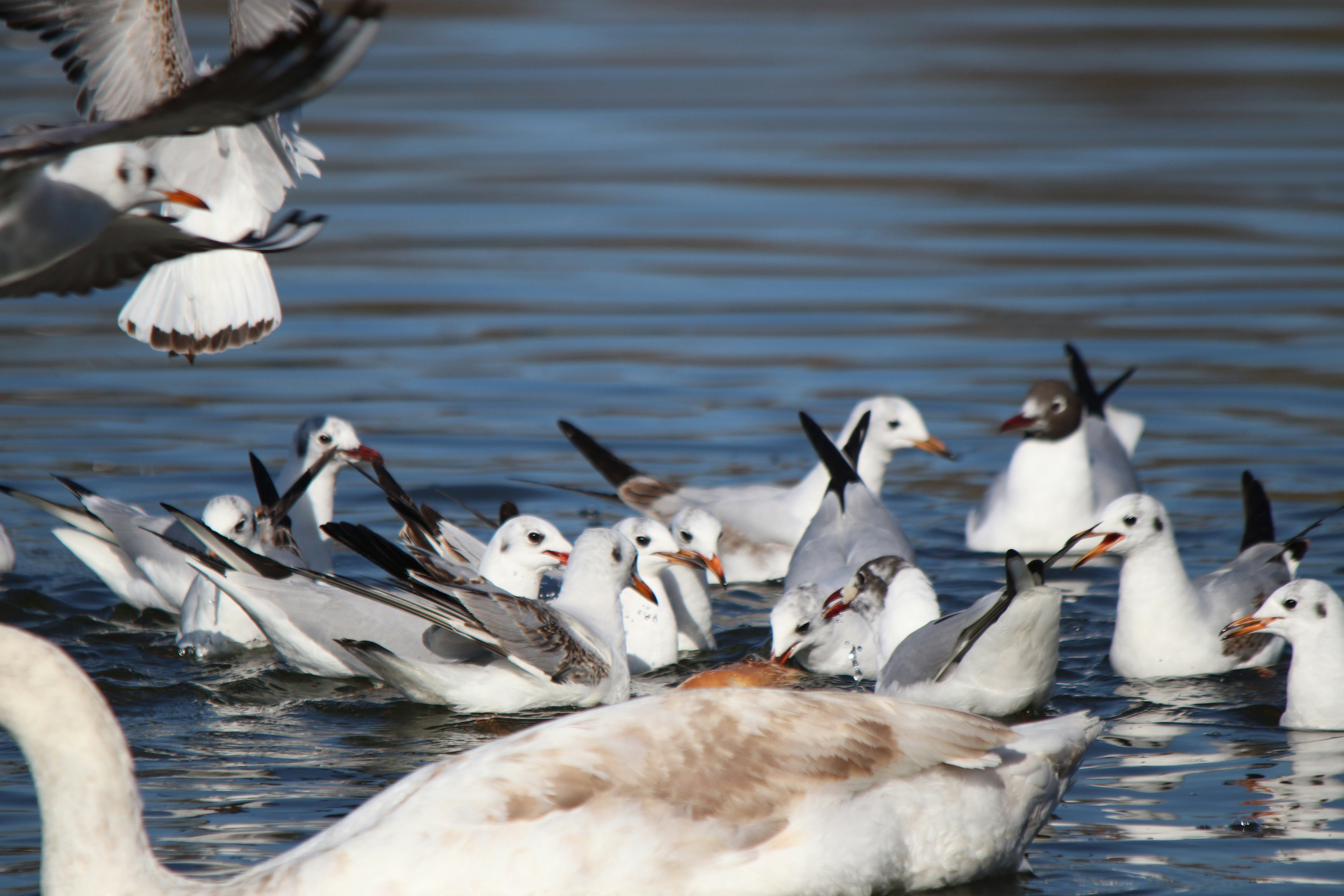 Photo by fotografialuivlad