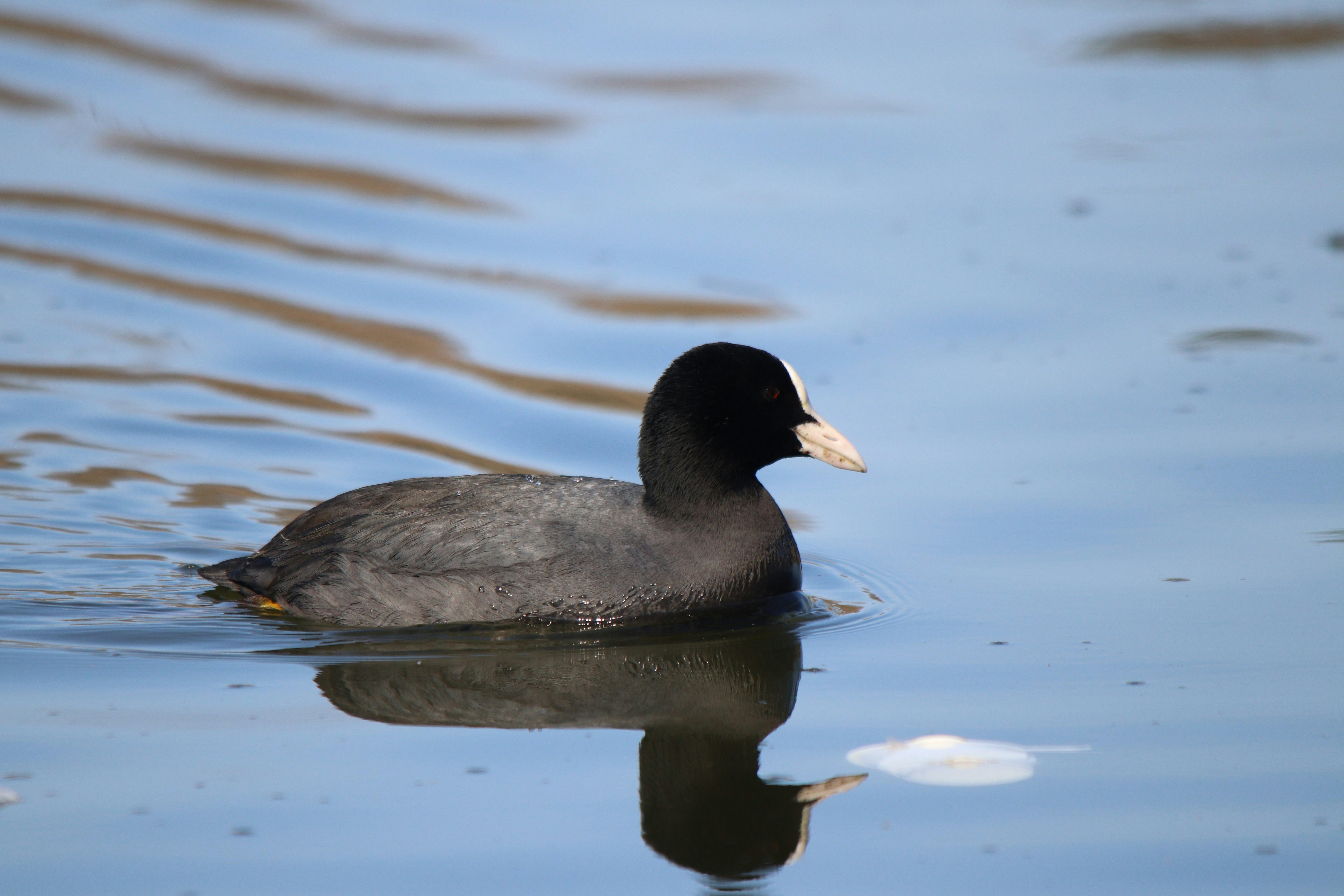 Photo by fotografialuivlad