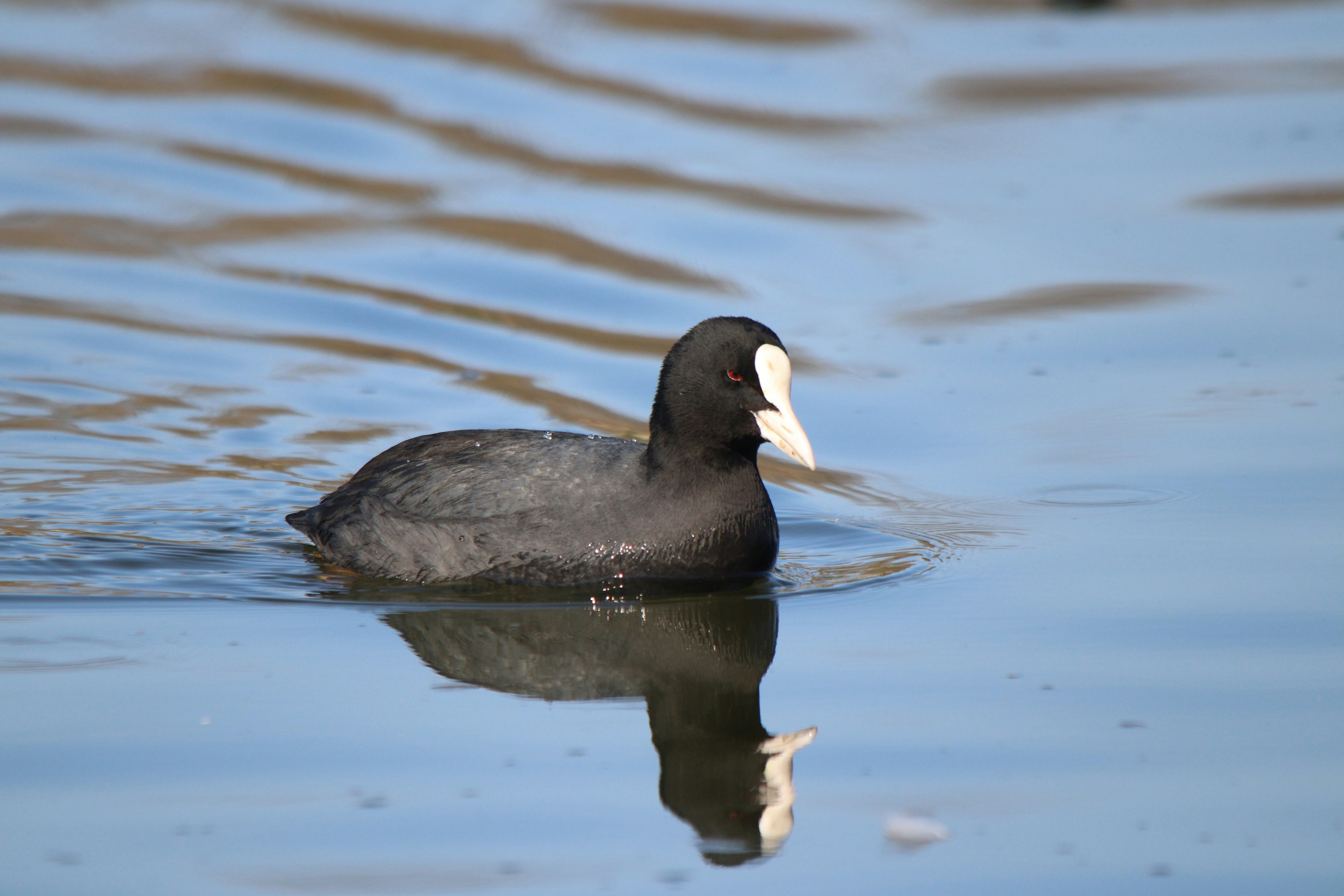 Photo by fotografialuivlad