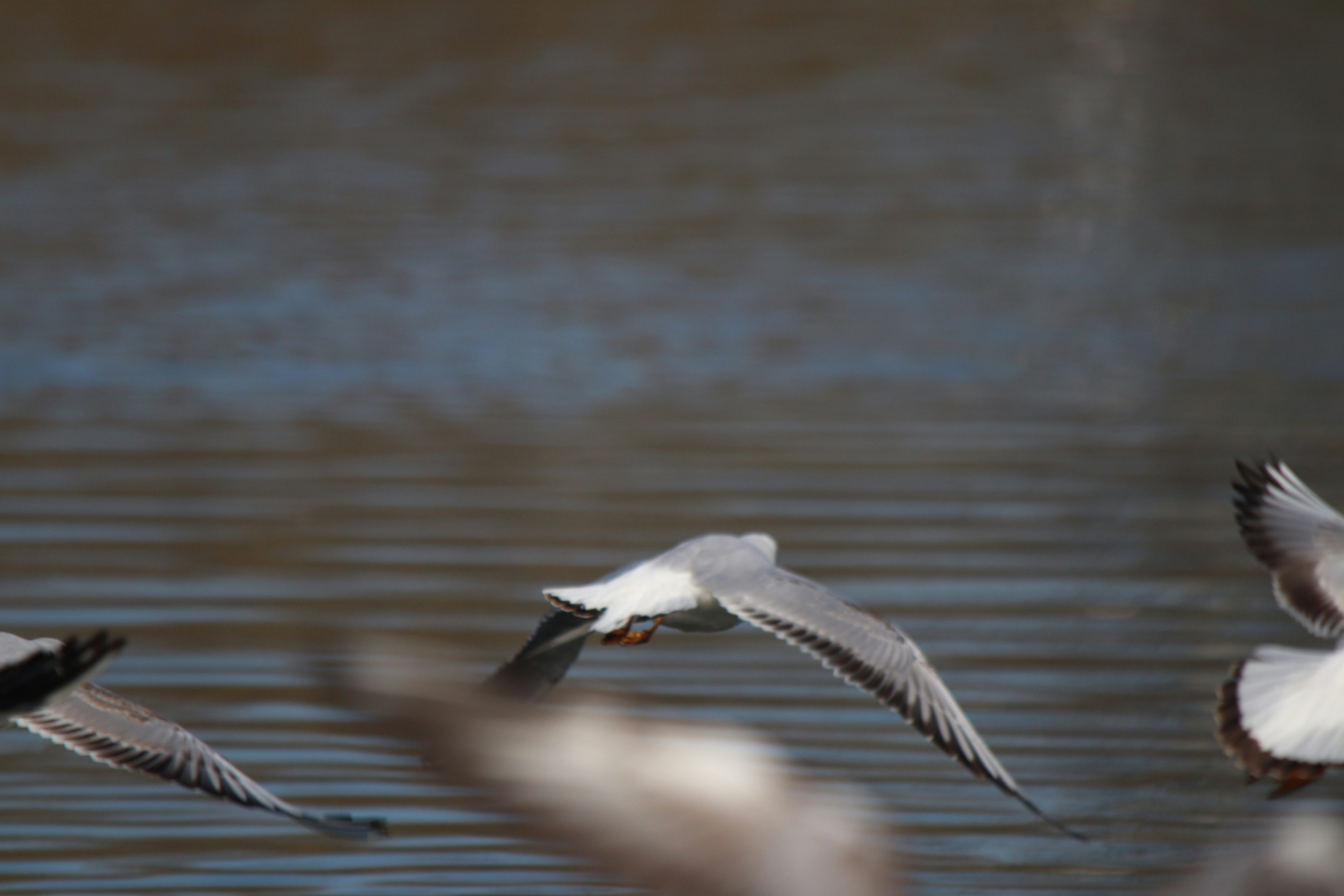 Photo by fotografialuivlad