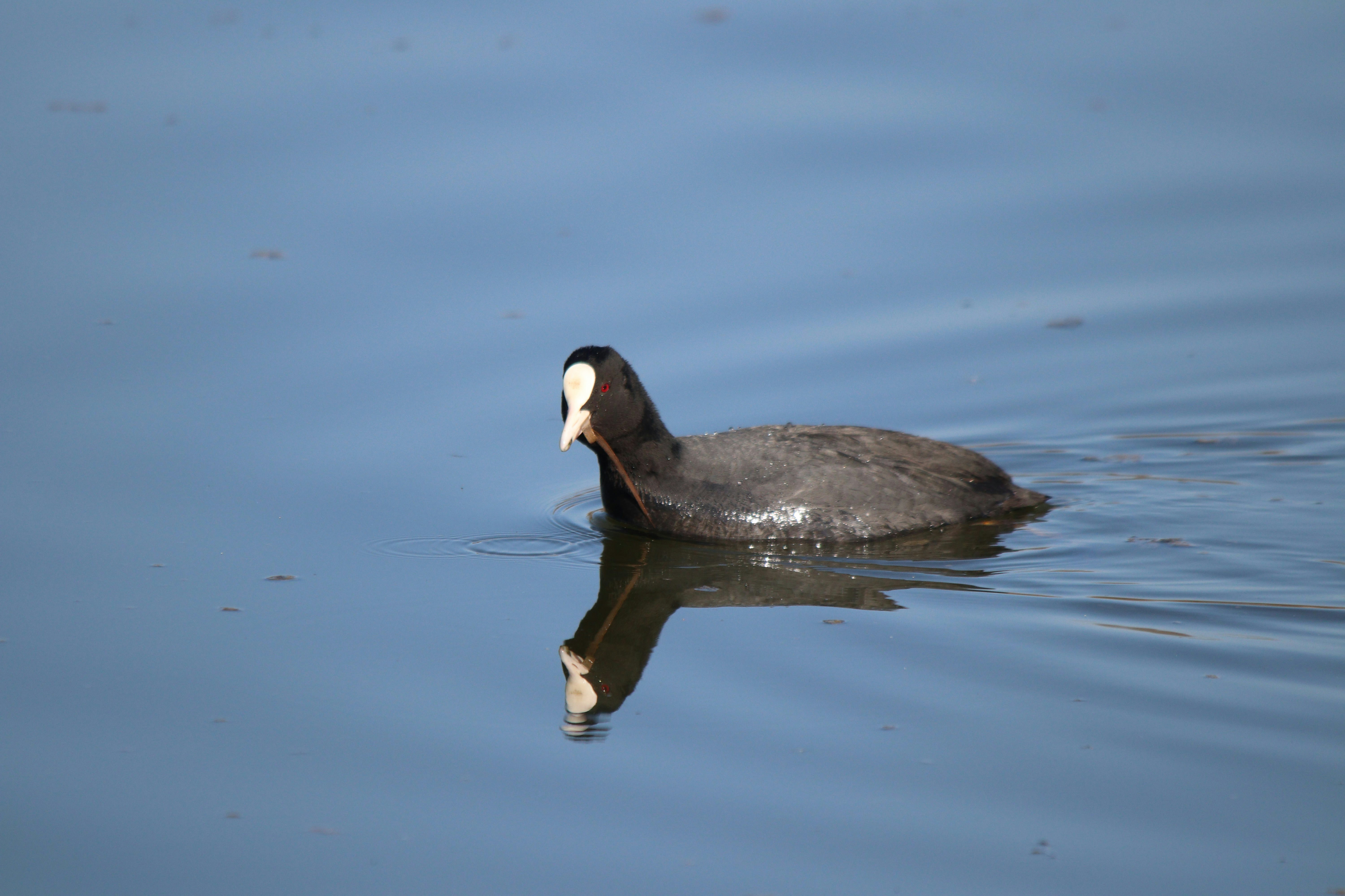 Photo by fotografialuivlad