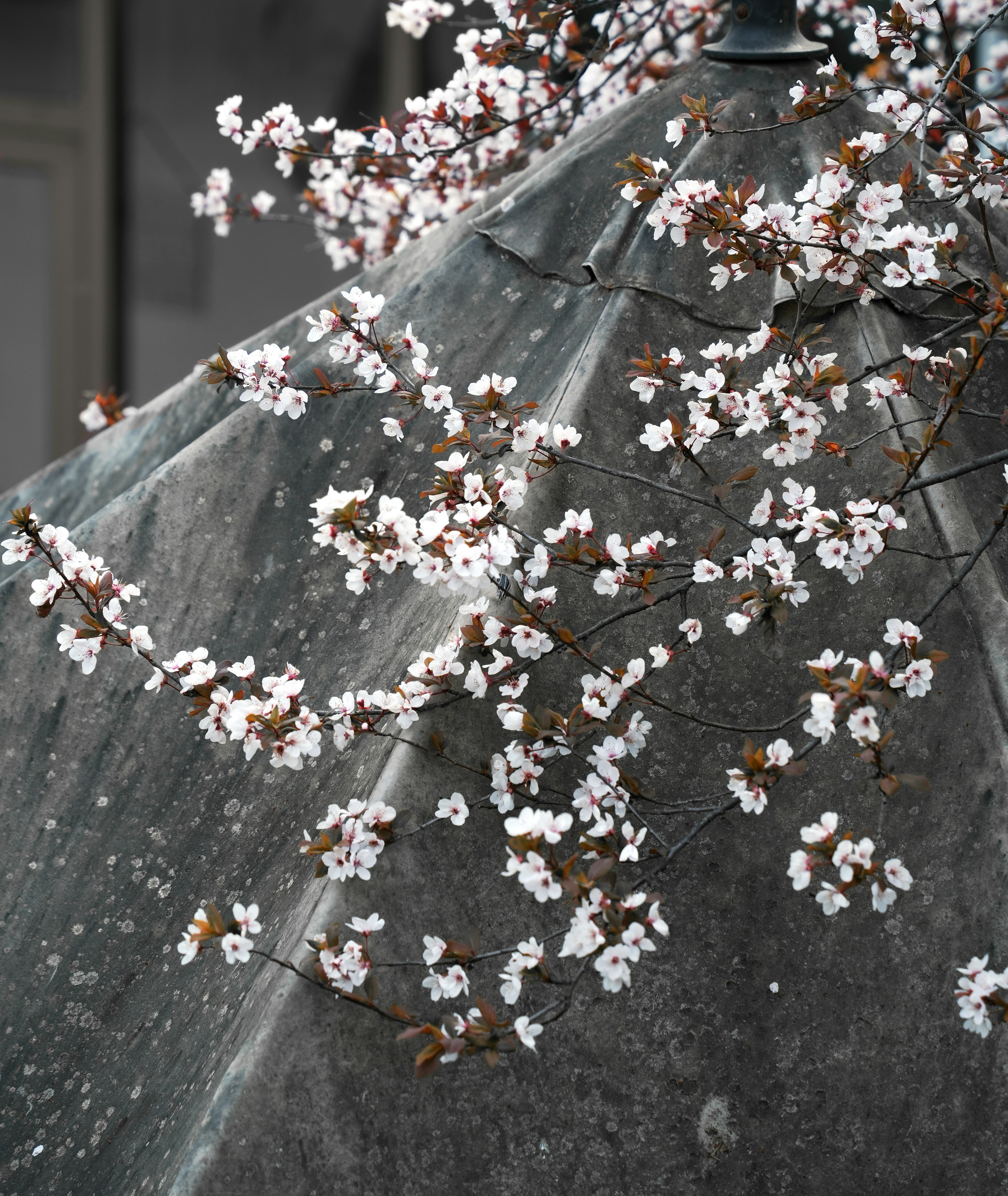 Photo by you_xiaonan