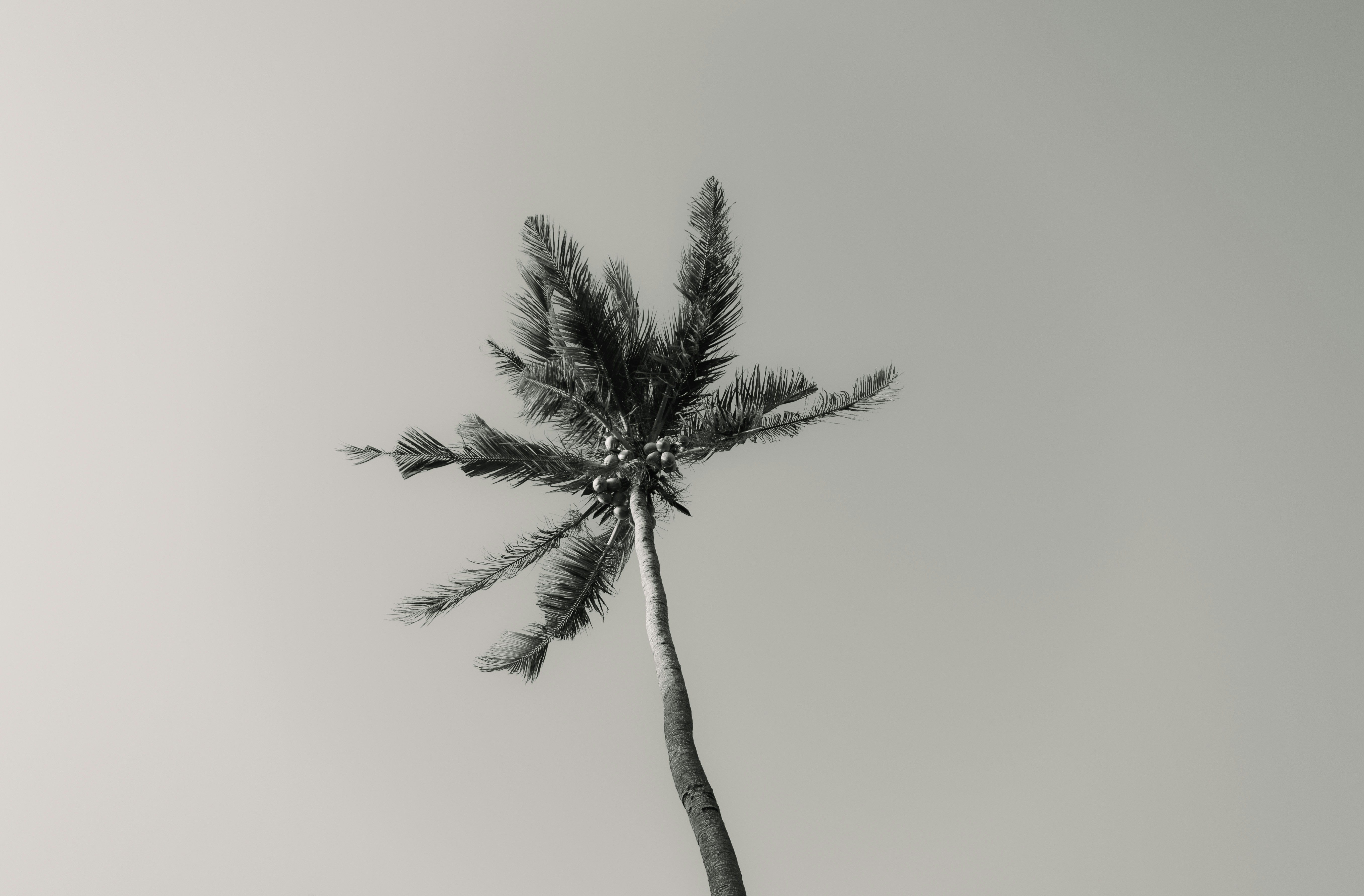 Photo by wu_hua_jiang