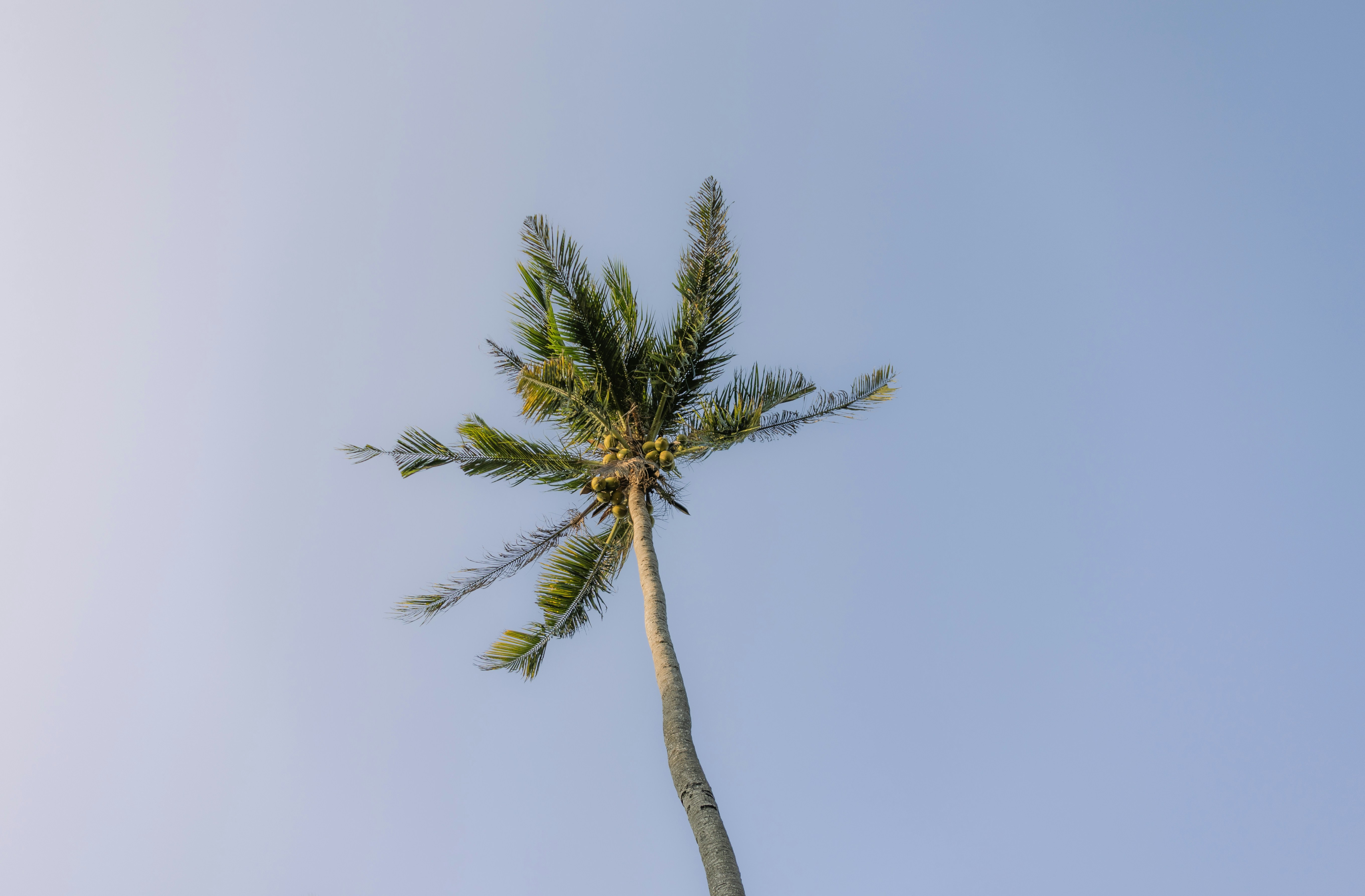 Photo by wu_hua_jiang