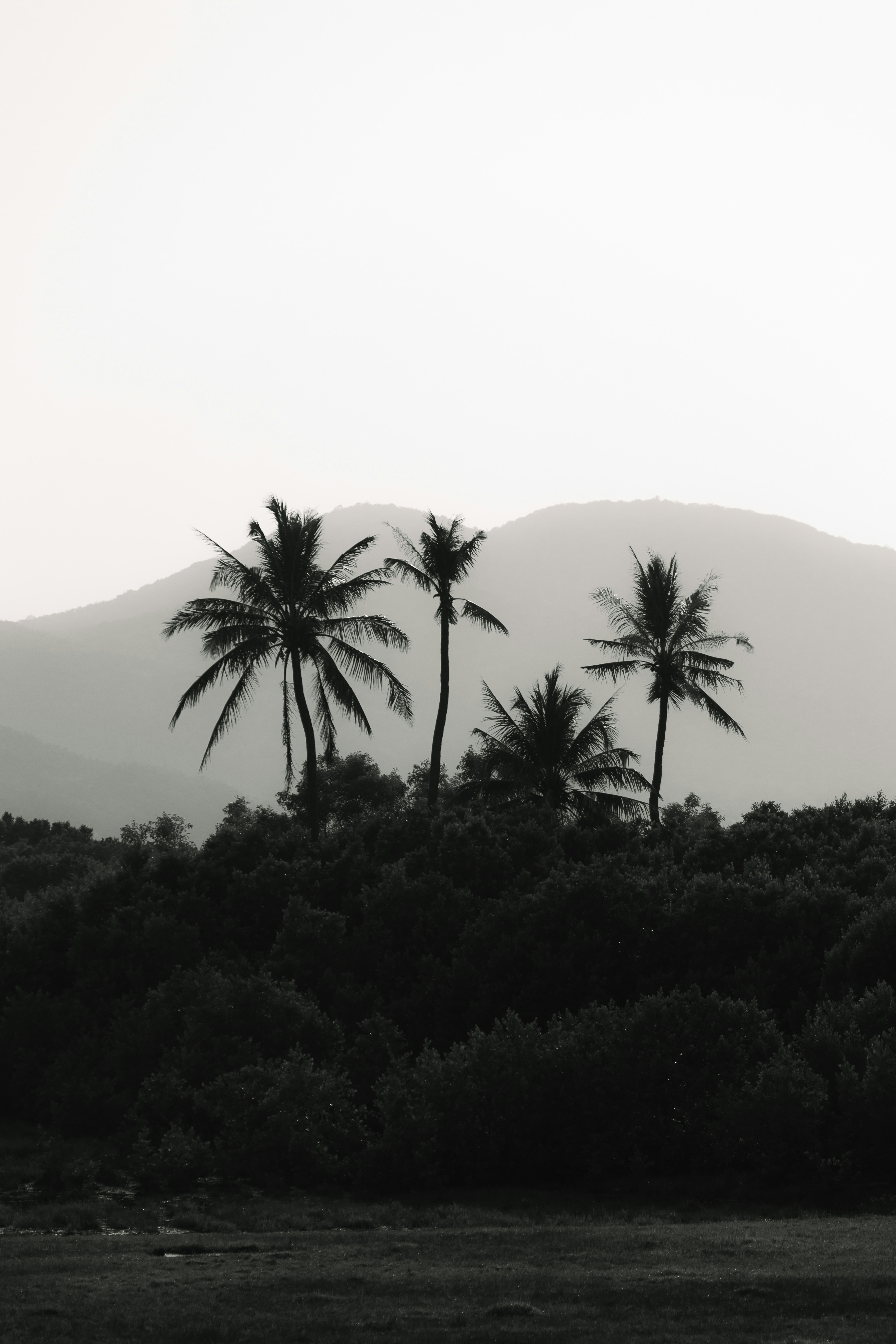 Photo by wu_hua_jiang