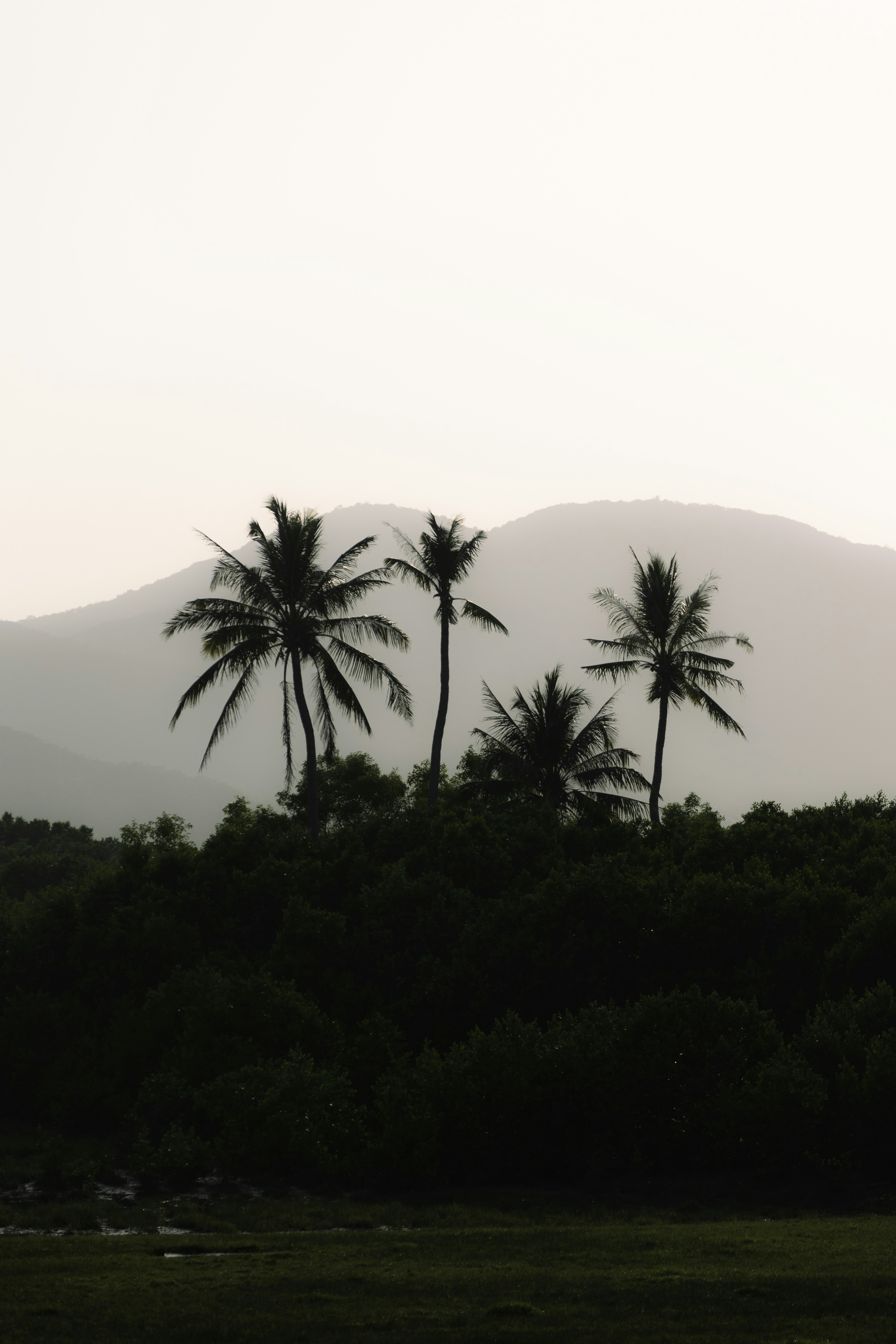 Photo by wu_hua_jiang