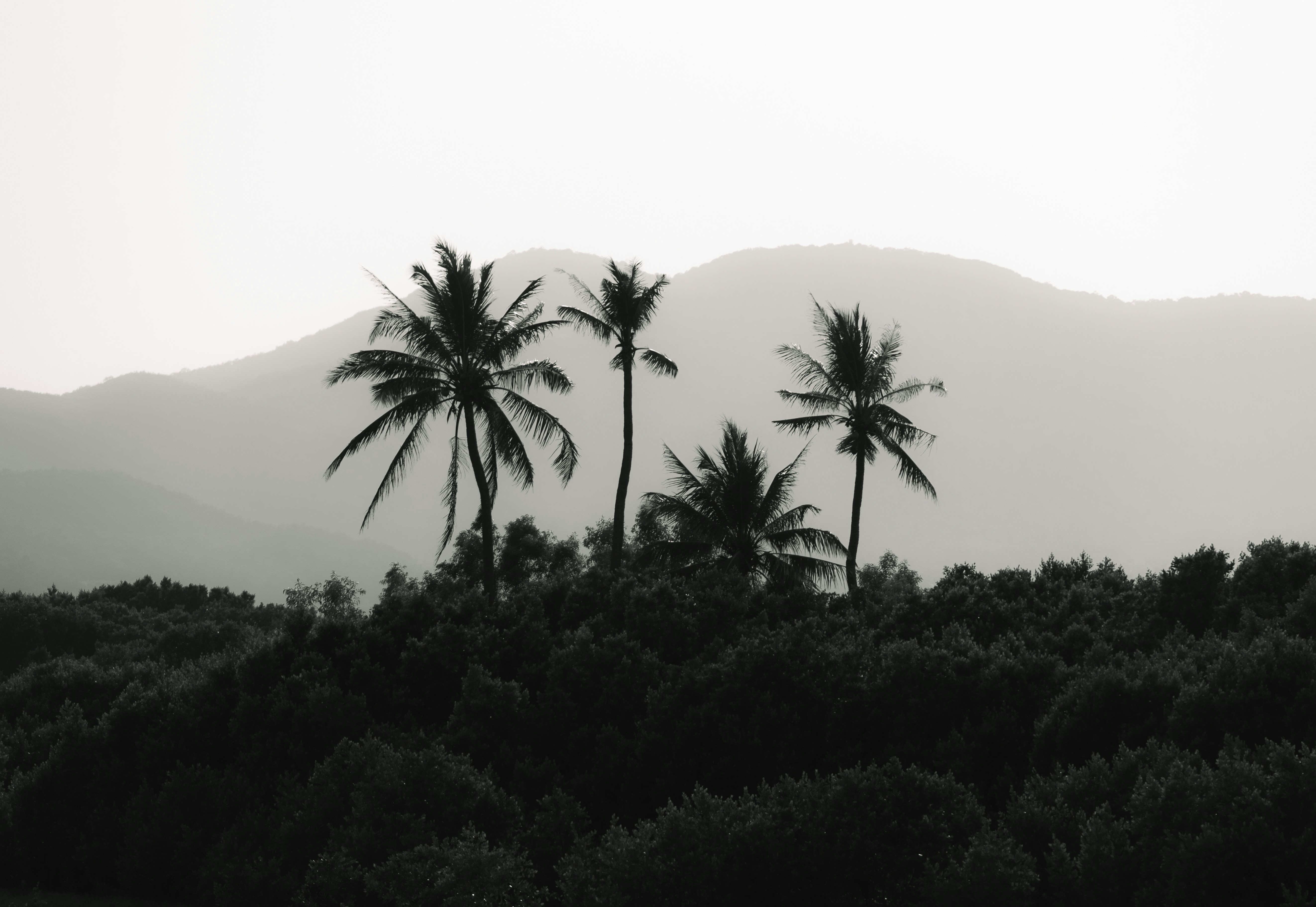 Photo by wu_hua_jiang