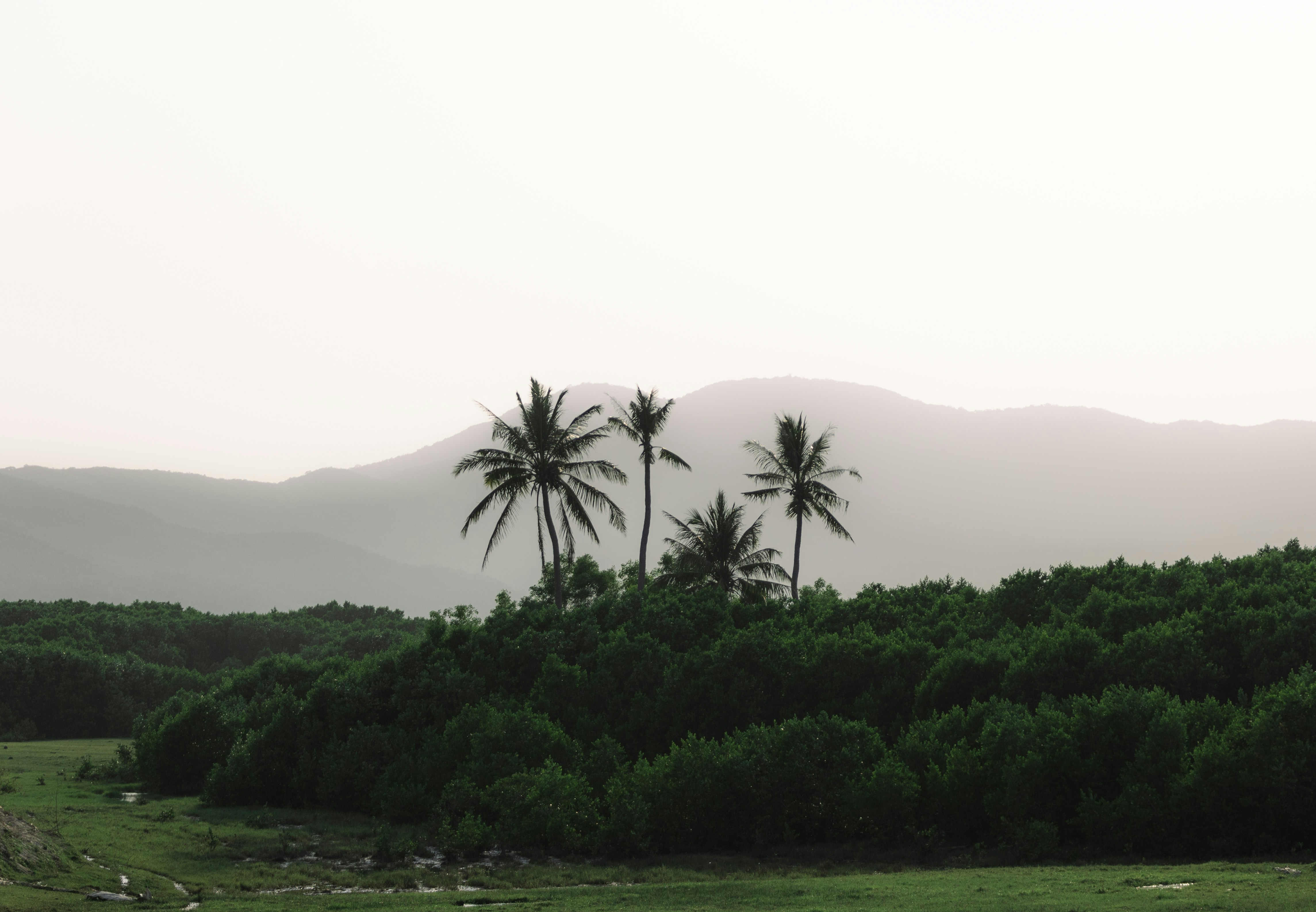 Photo by wu_hua_jiang