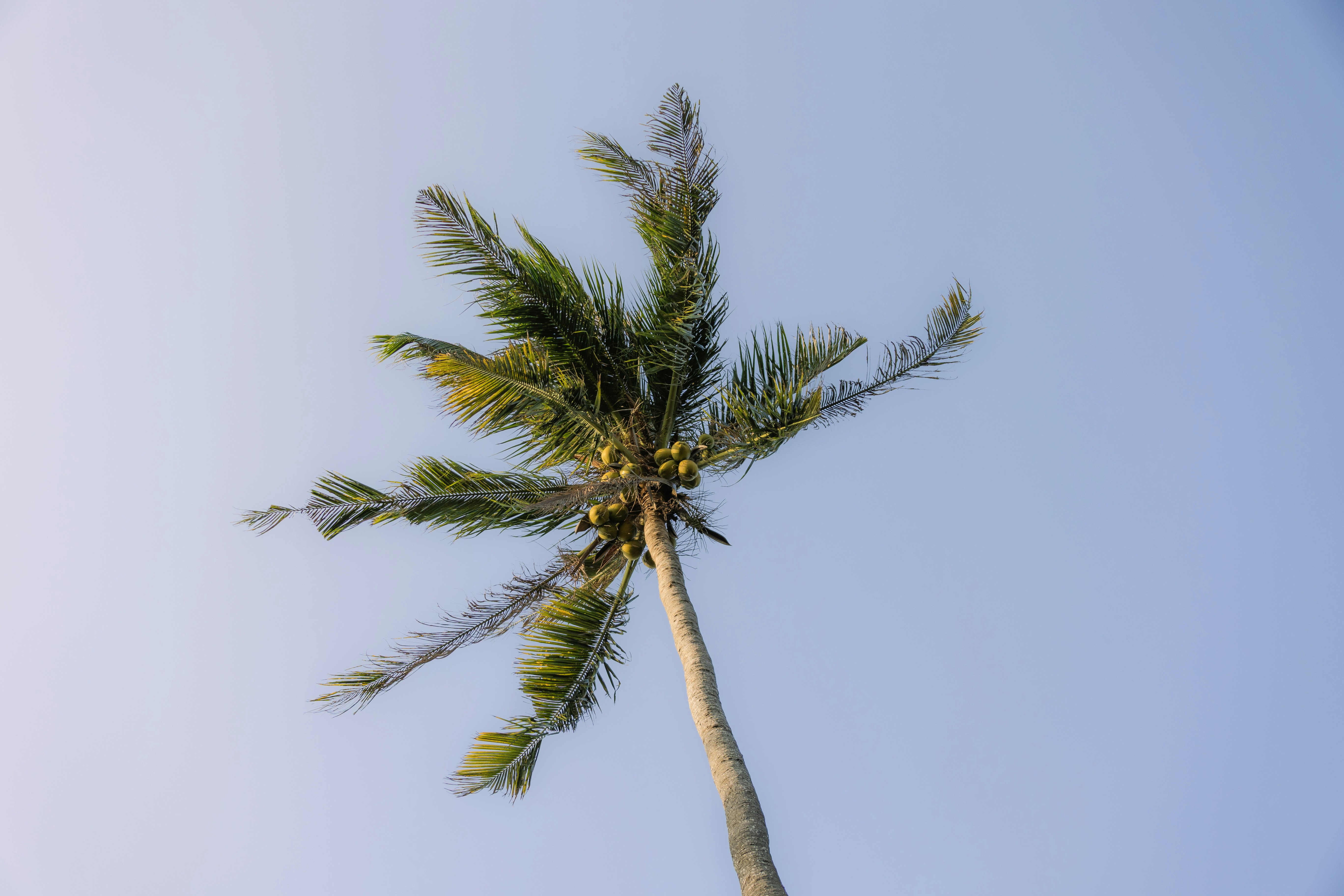 Photo by wu_hua_jiang