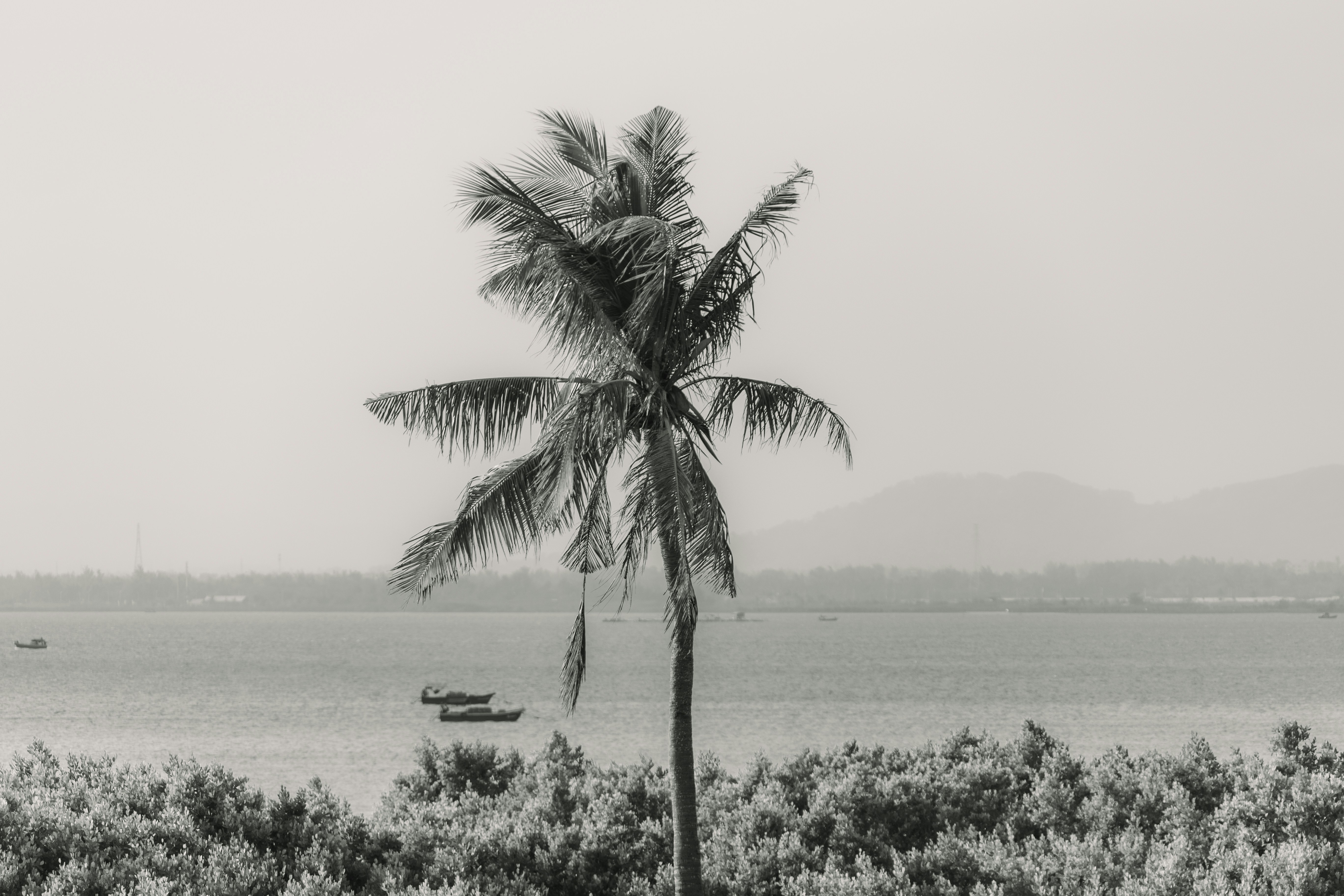 Photo by wu_hua_jiang