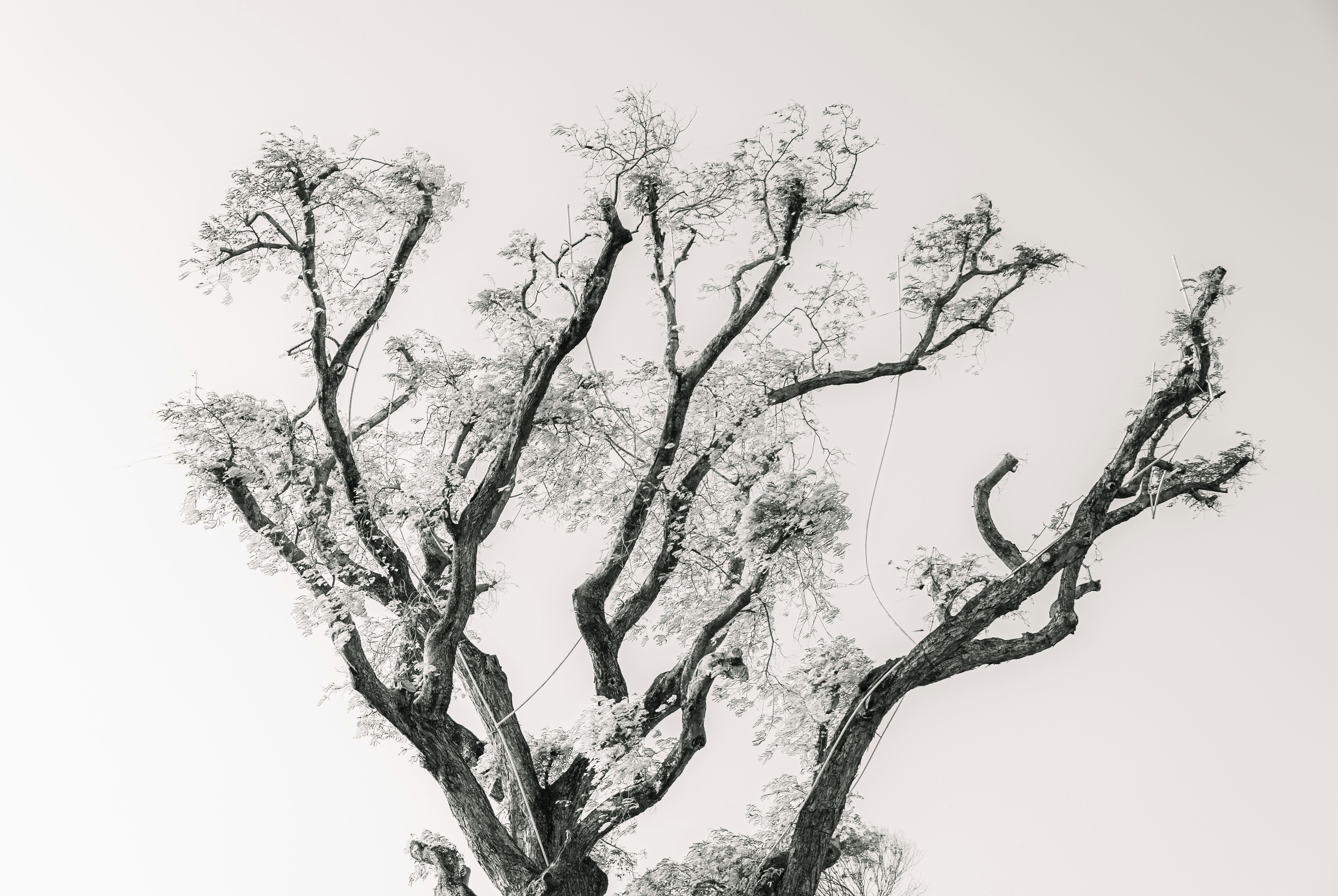 Photo by wu_hua_jiang