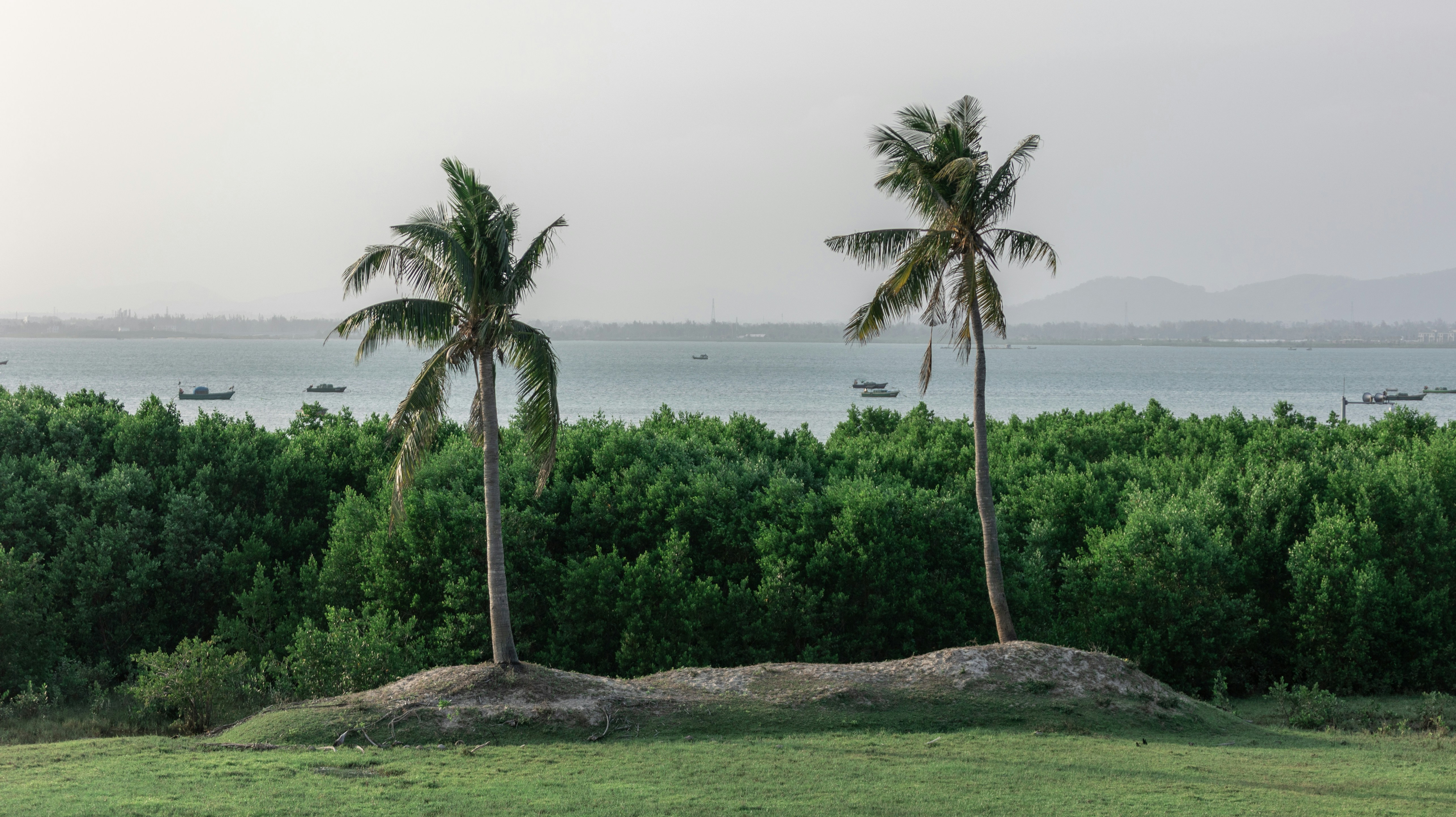 Photo by wu_hua_jiang