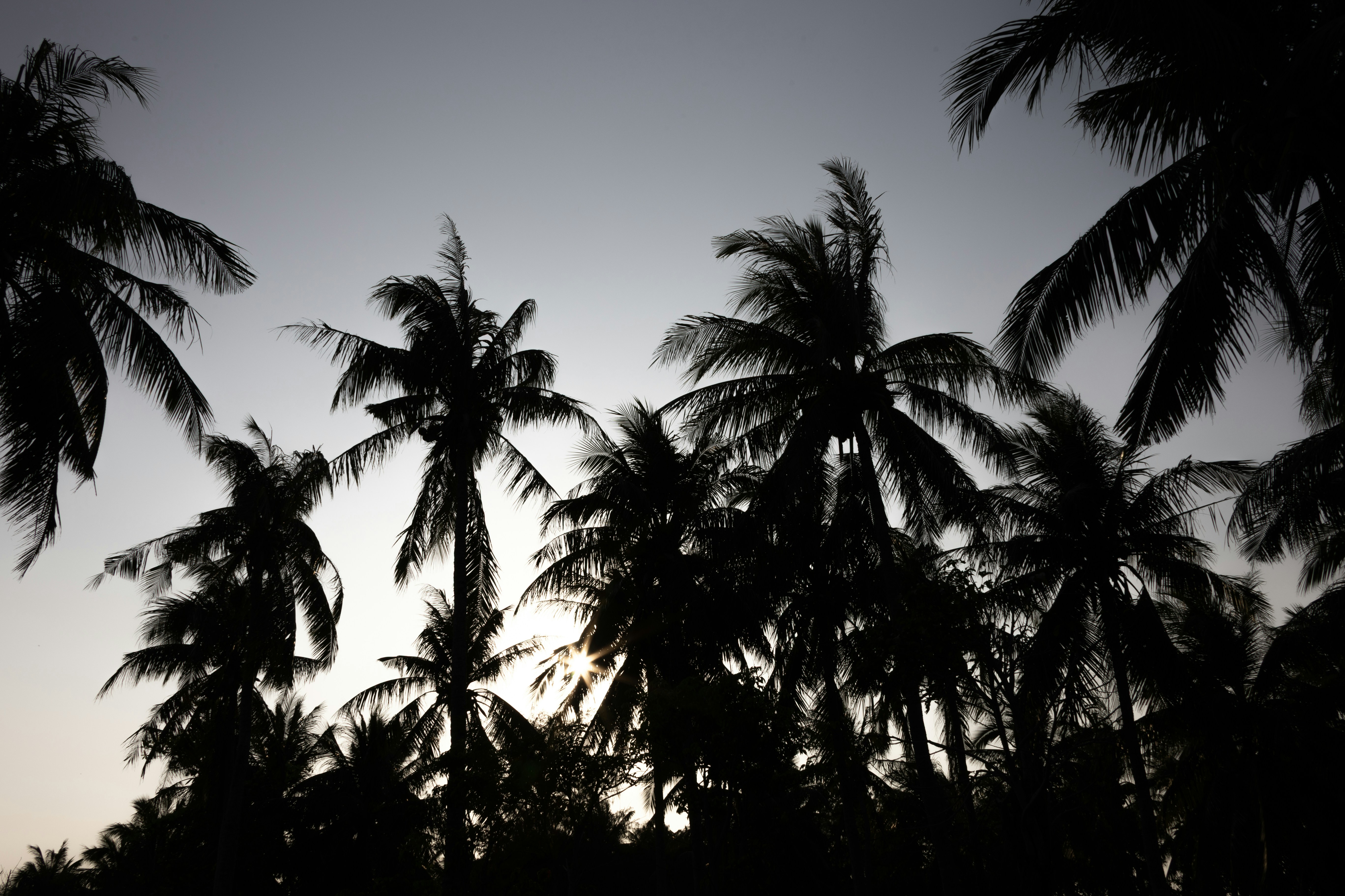 Photo by wu_hua_jiang