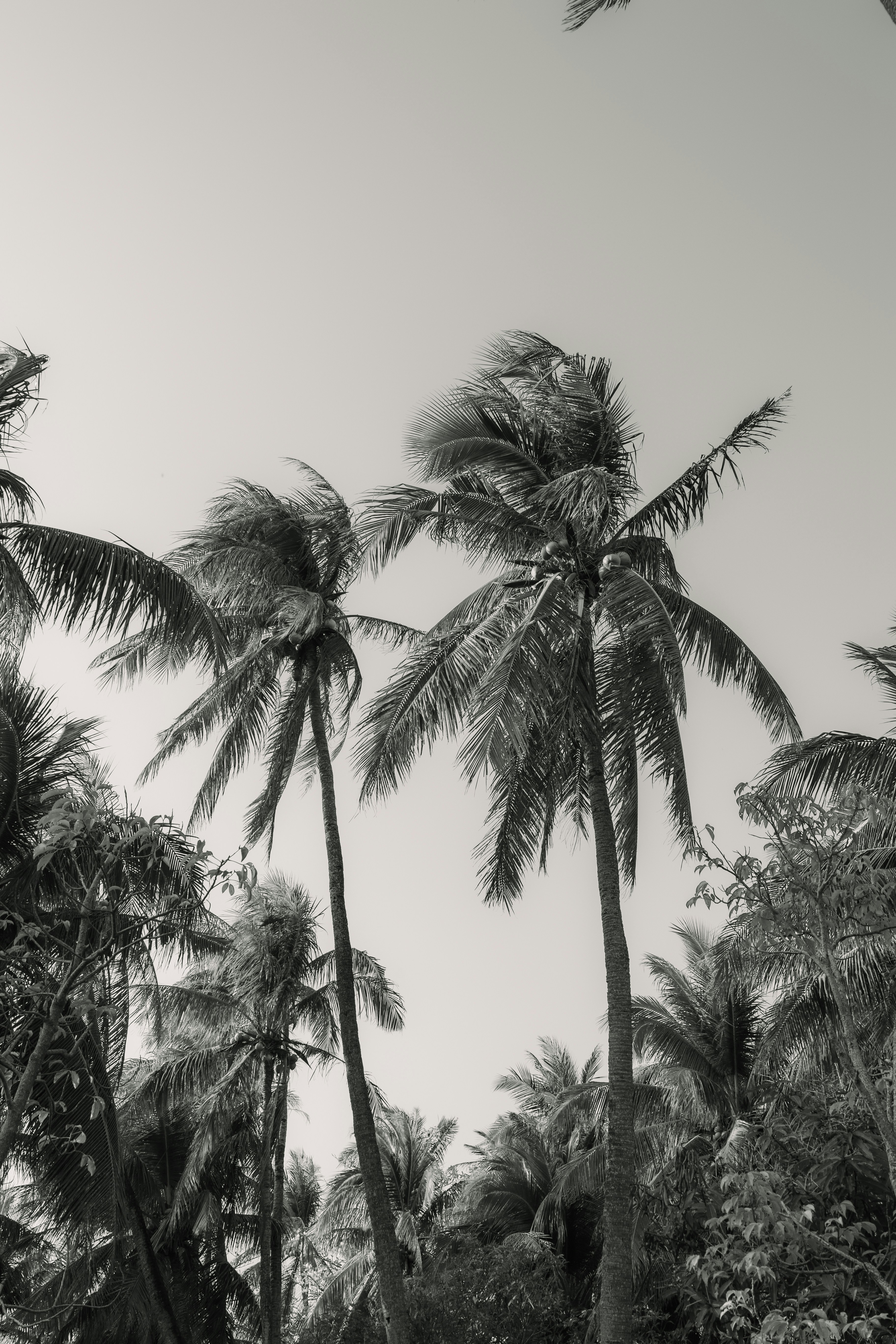 Photo by wu_hua_jiang