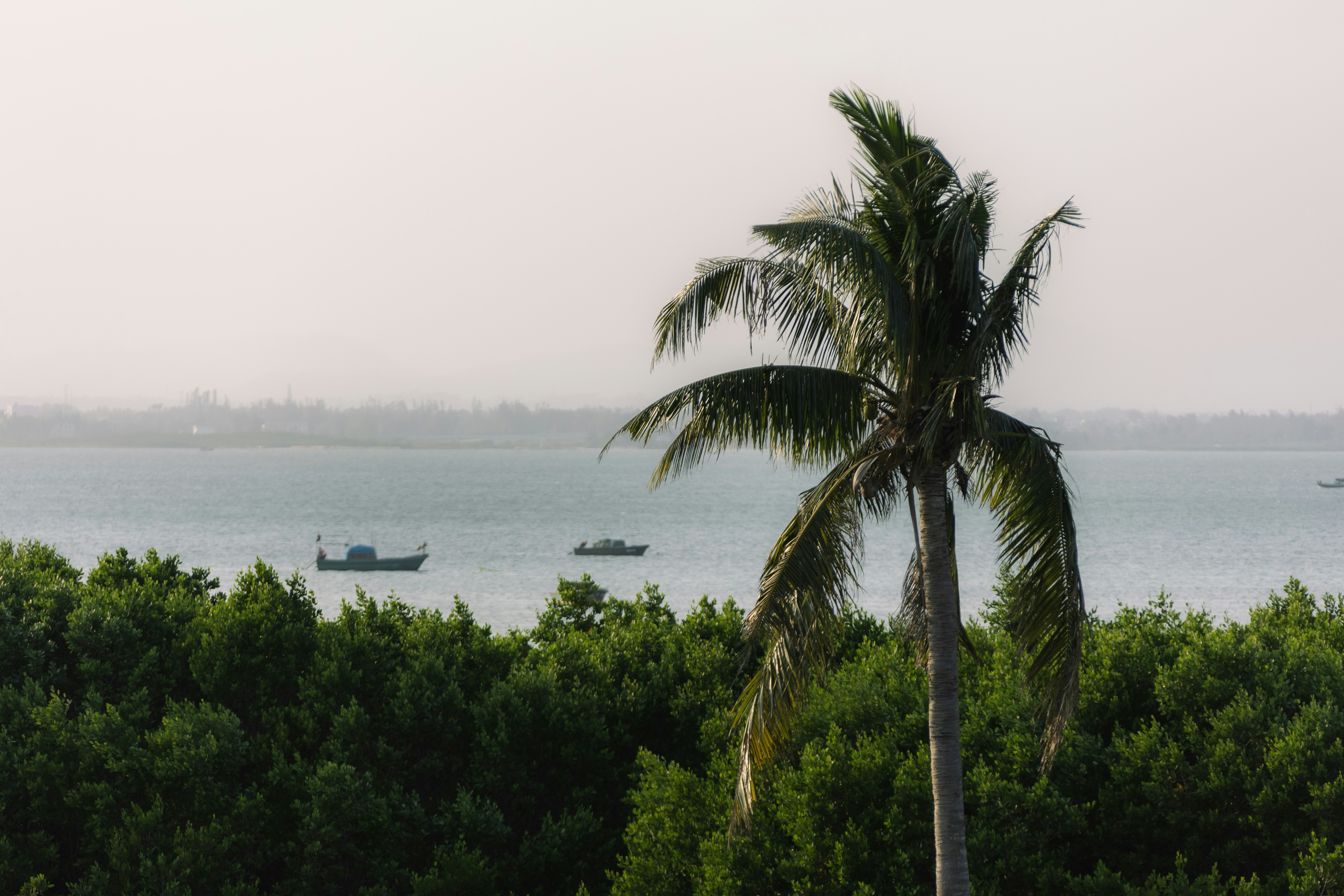 Photo by wu_hua_jiang