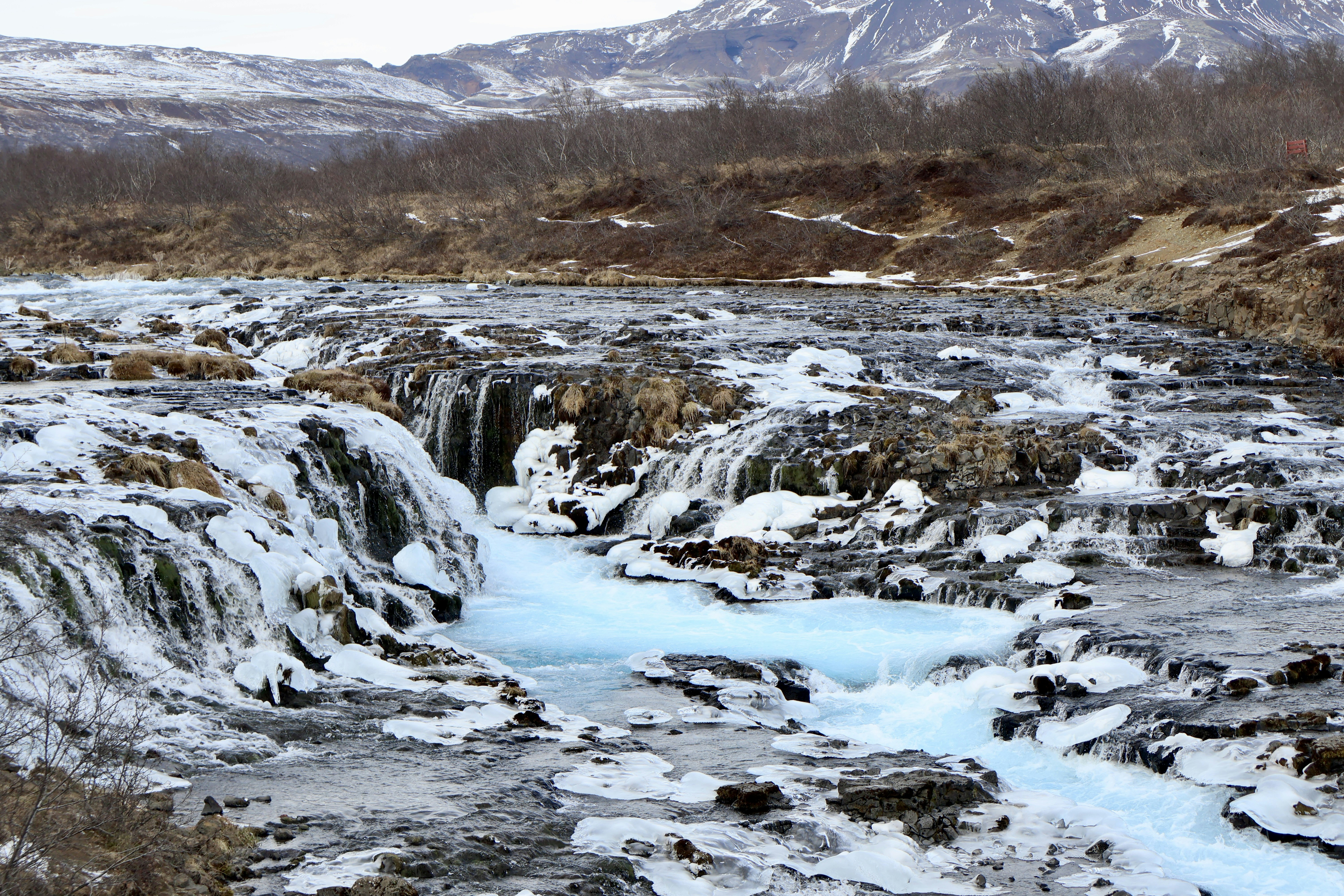 Photo by qingming_26