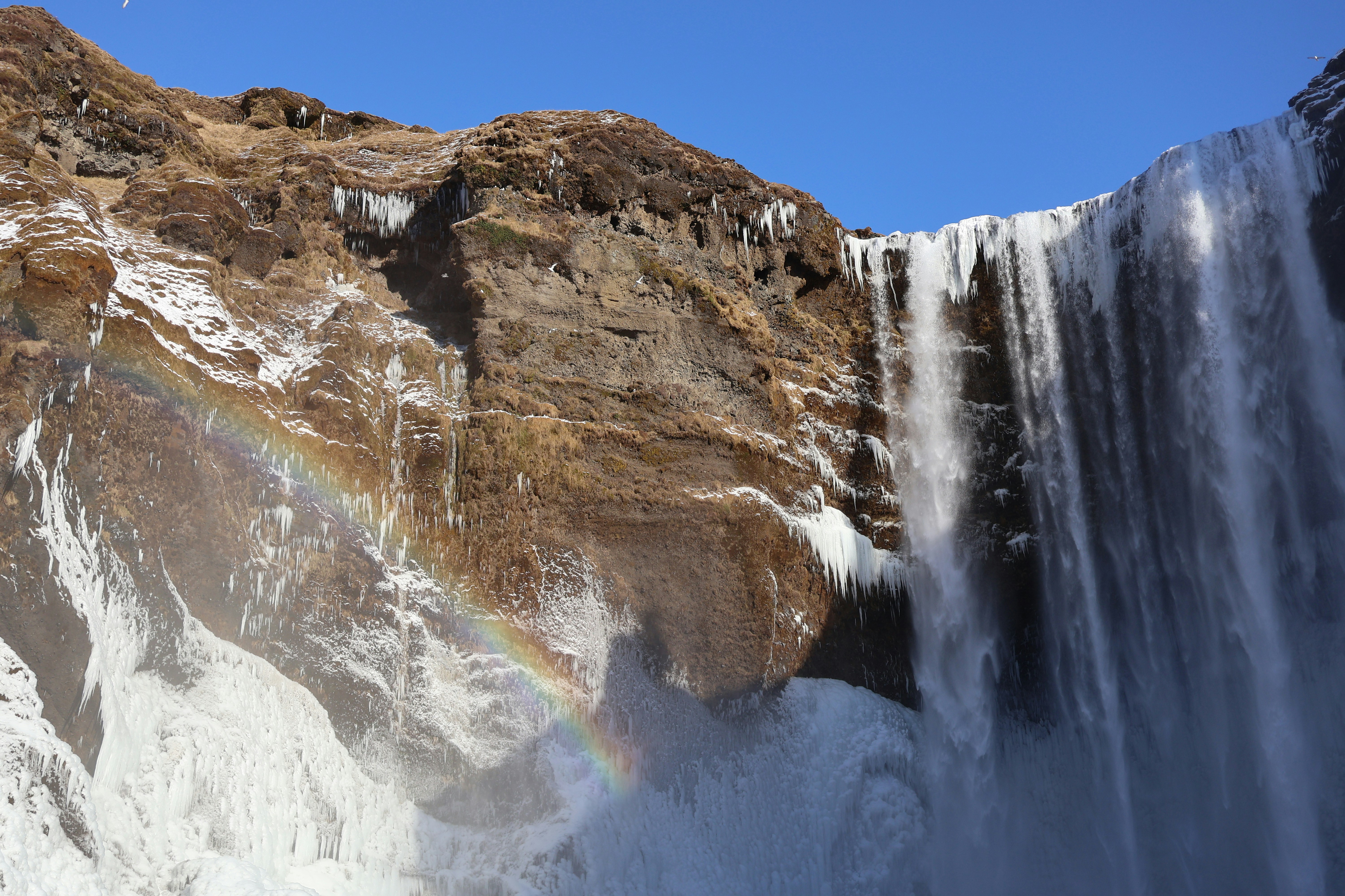 Photo by qingming_26