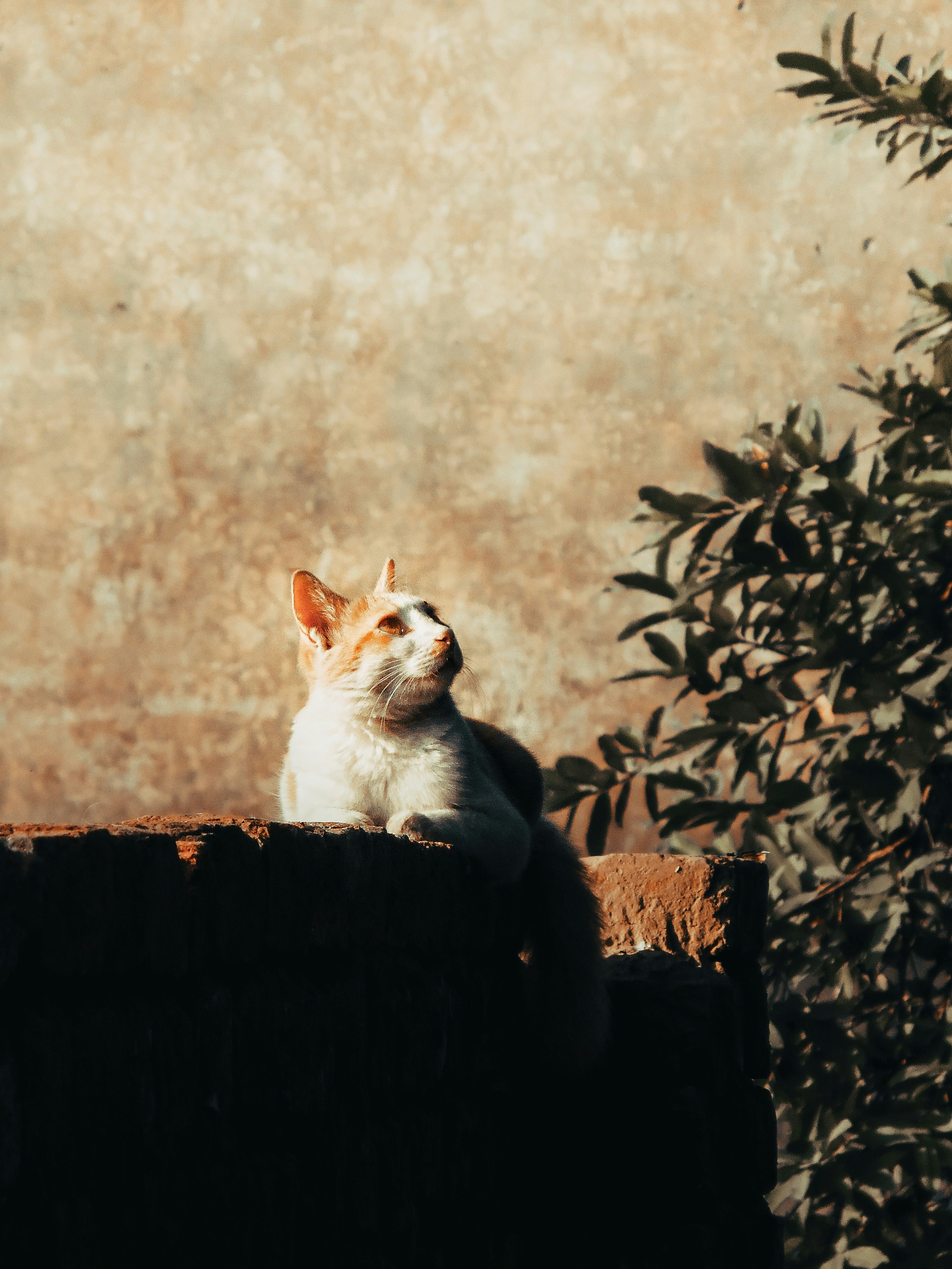 Photo by pixelbyzaki