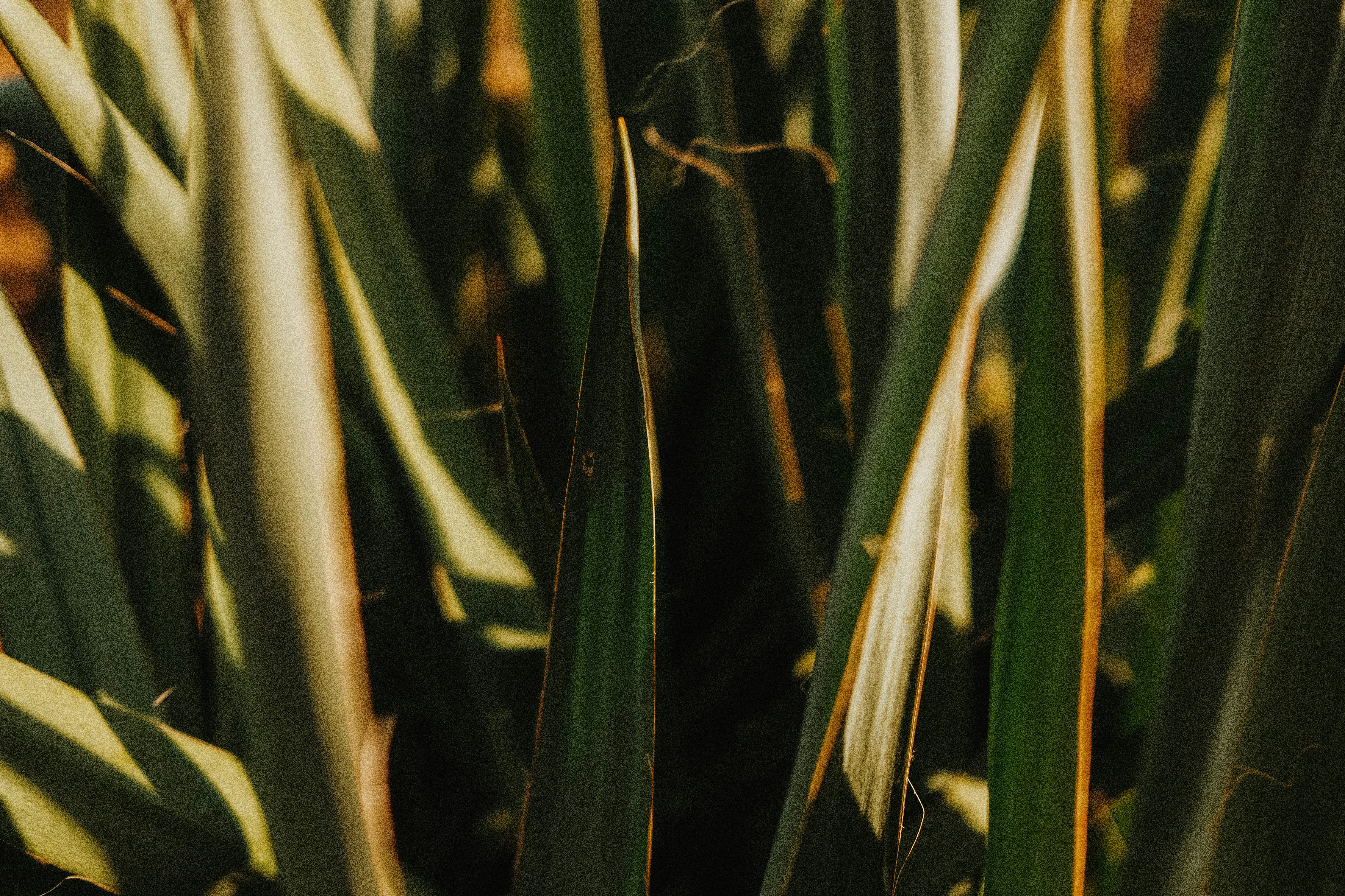 Photo by marinareich