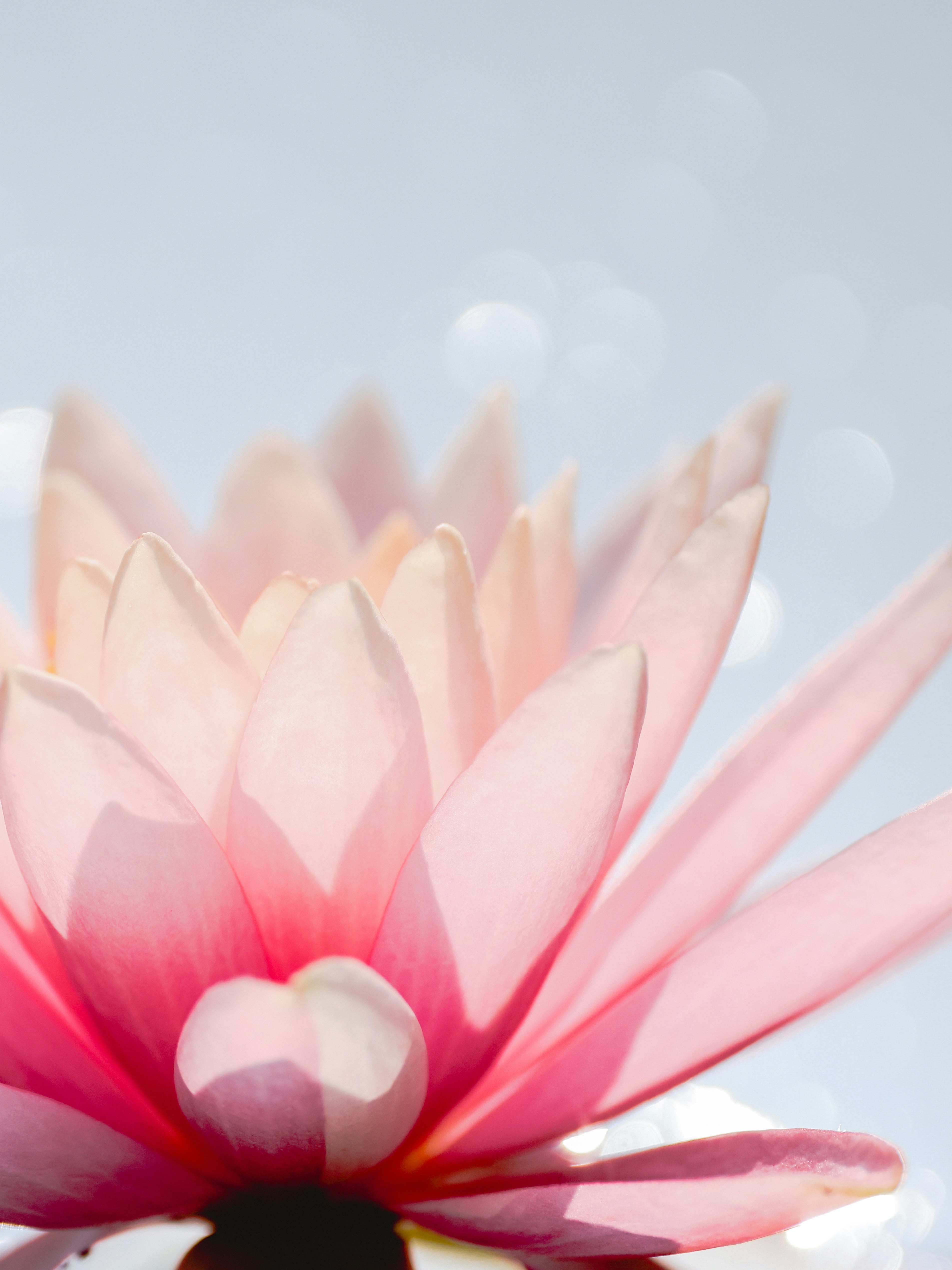 Photo by dickenslin76