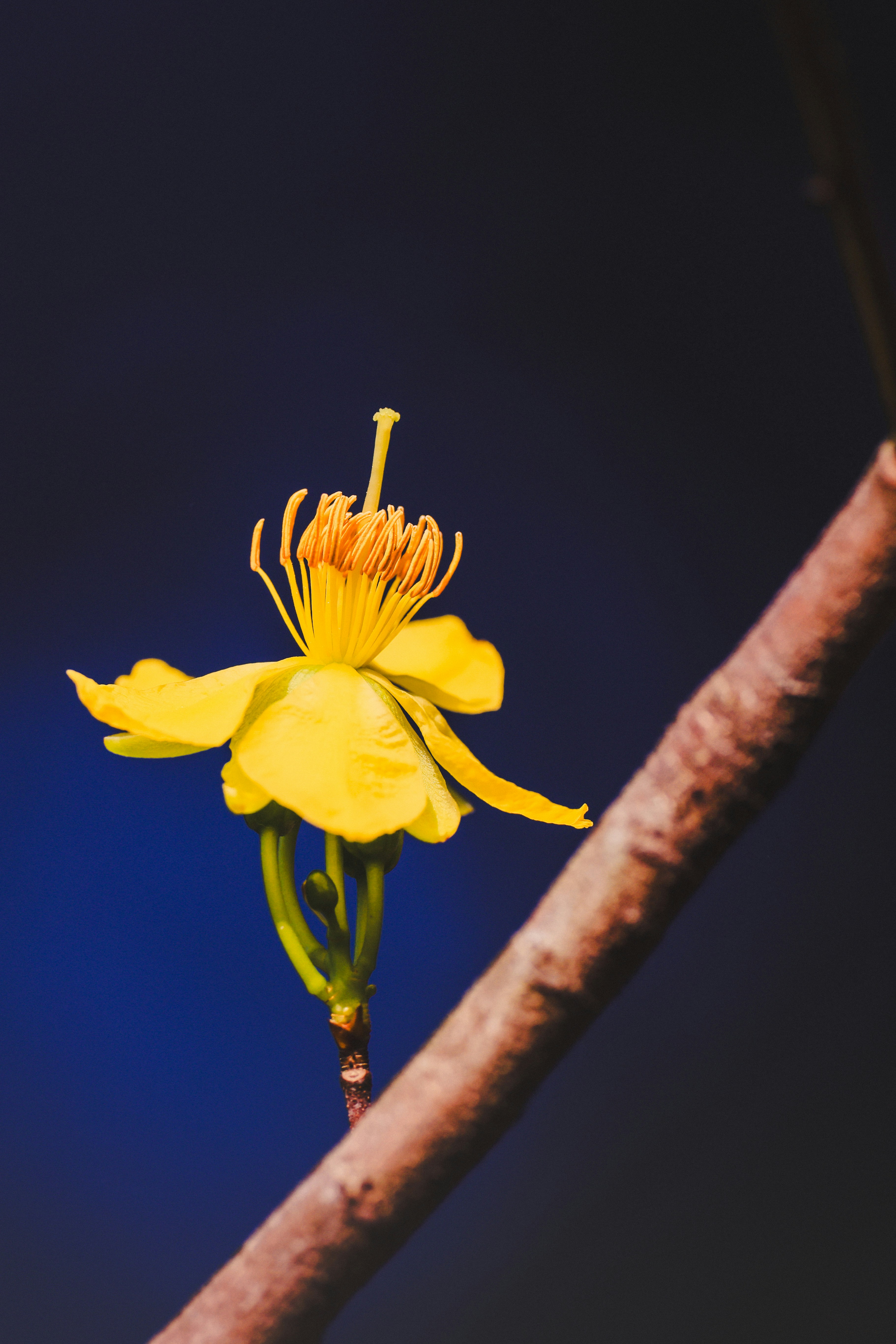 Photo by dickenslin76