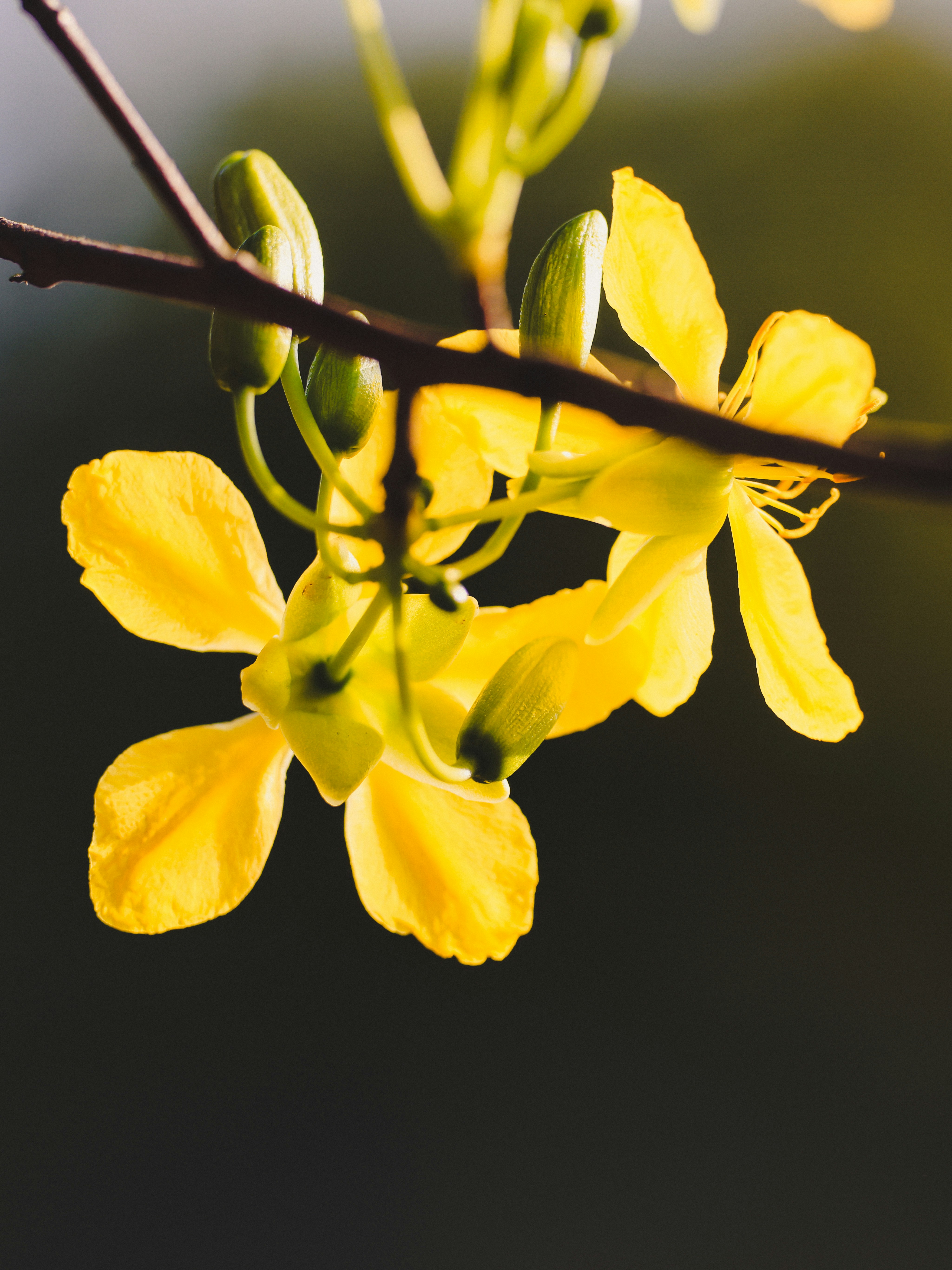 Photo by dickenslin76