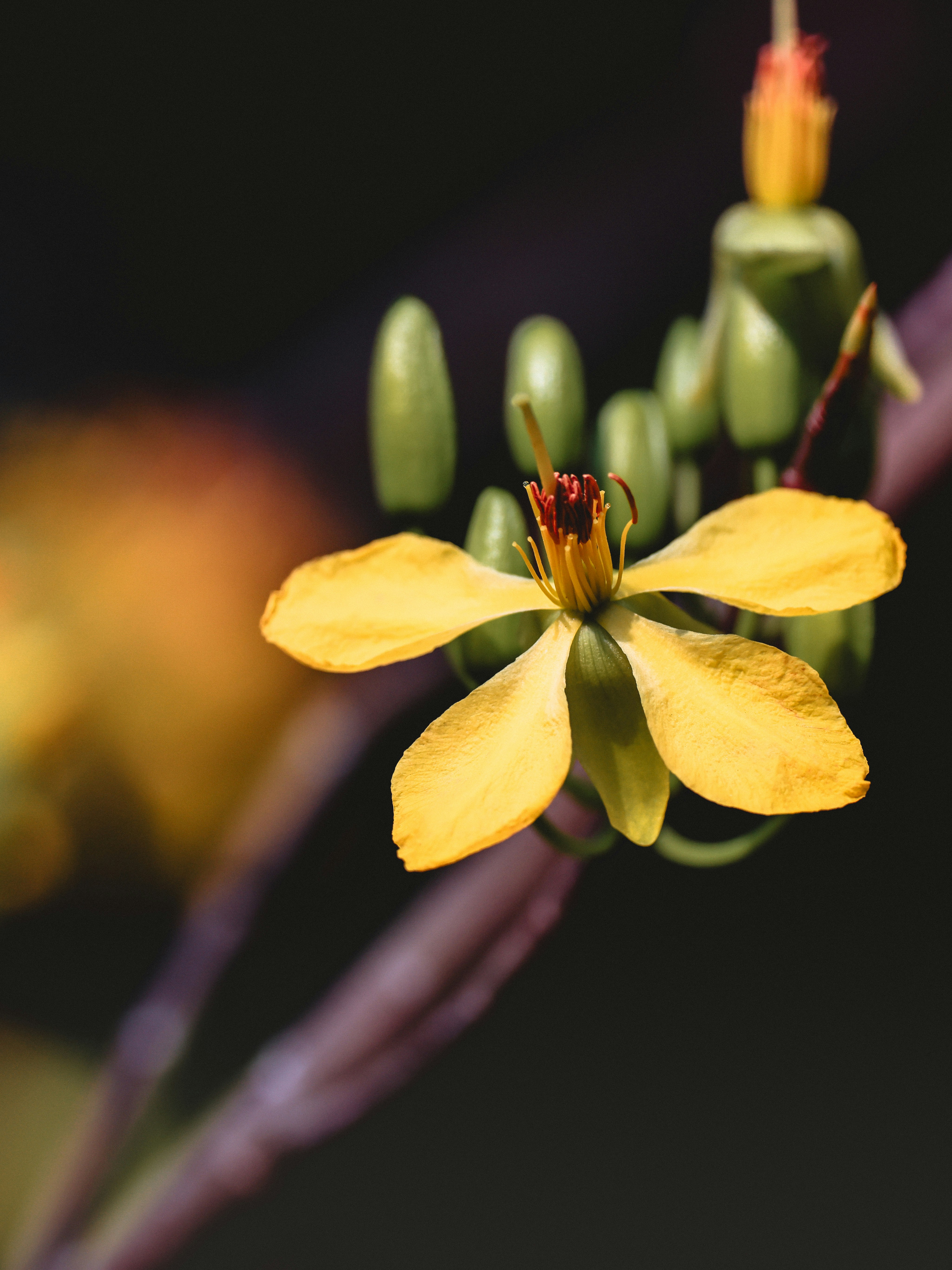 Photo by dickenslin76