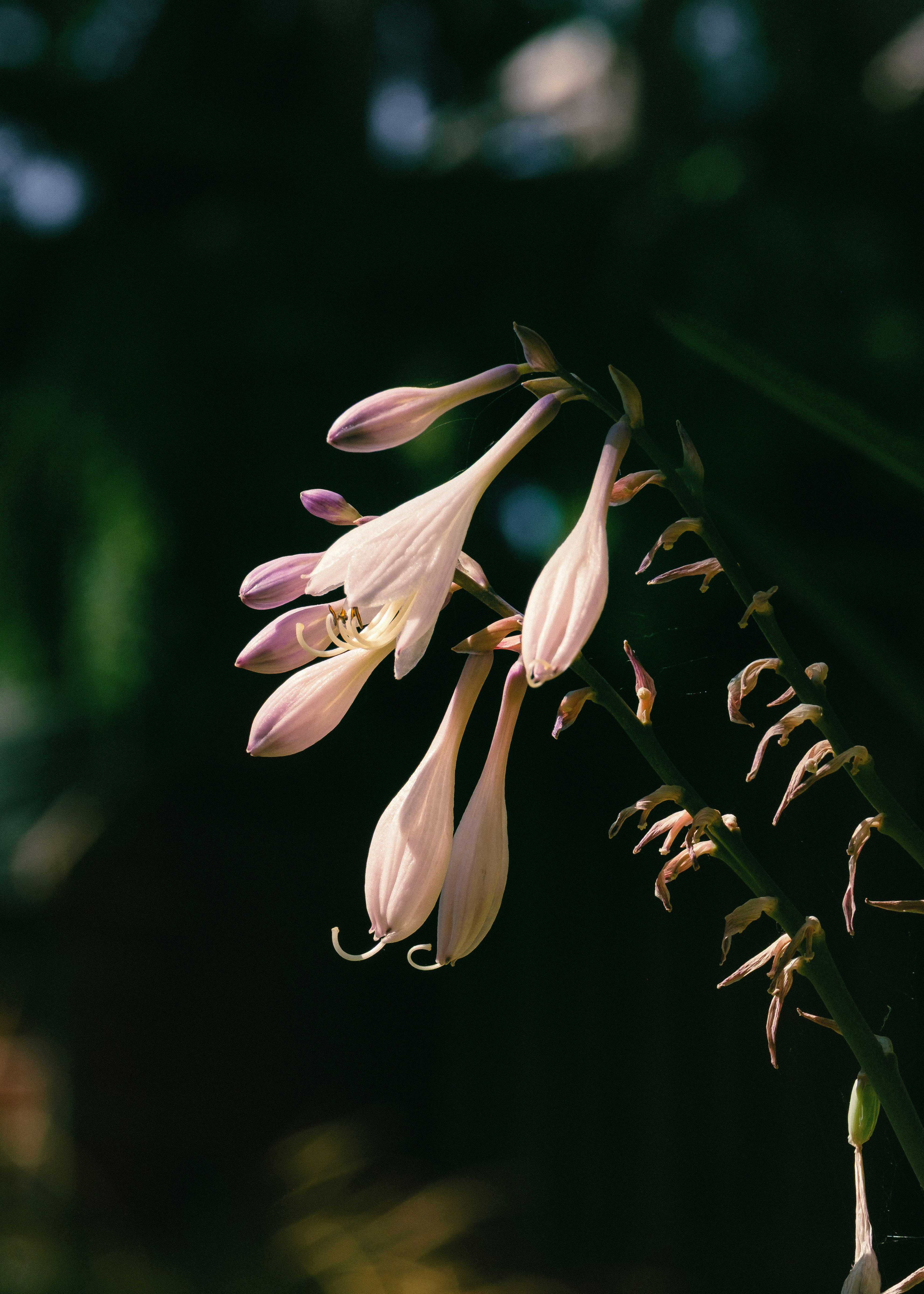 Photo by rory_tucker_photography