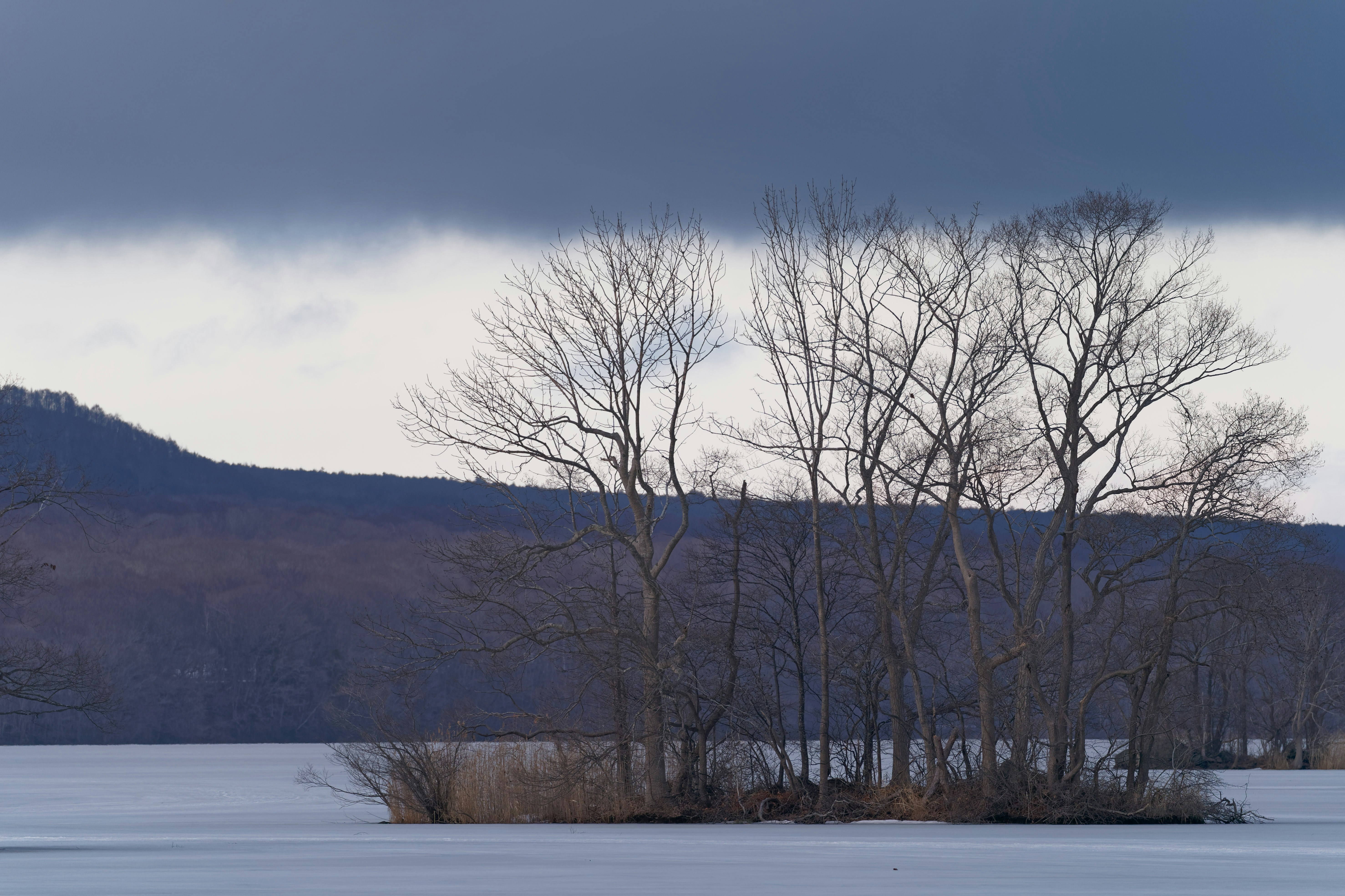 Photo by da_shika_photo