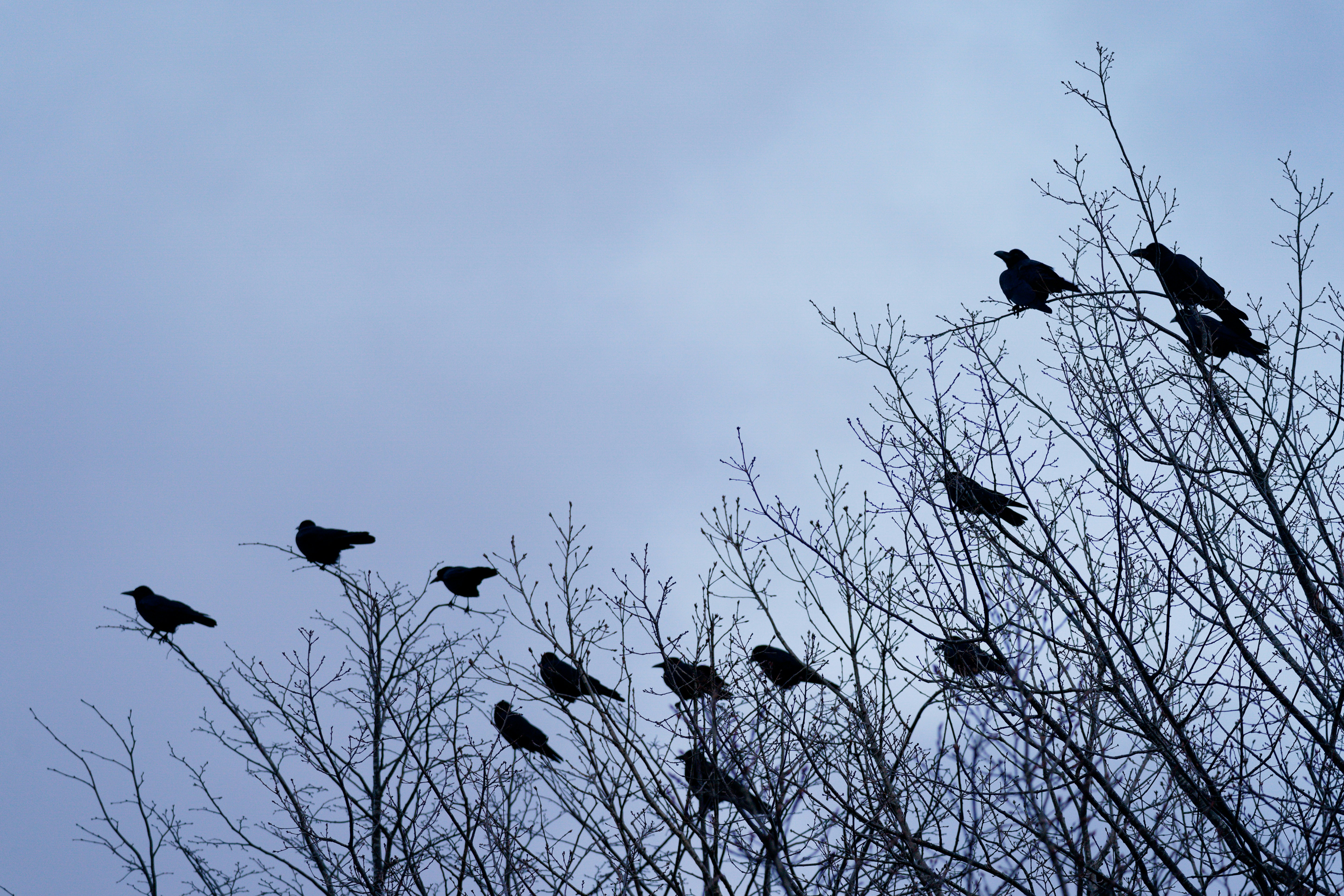 Photo by da_shika_photo