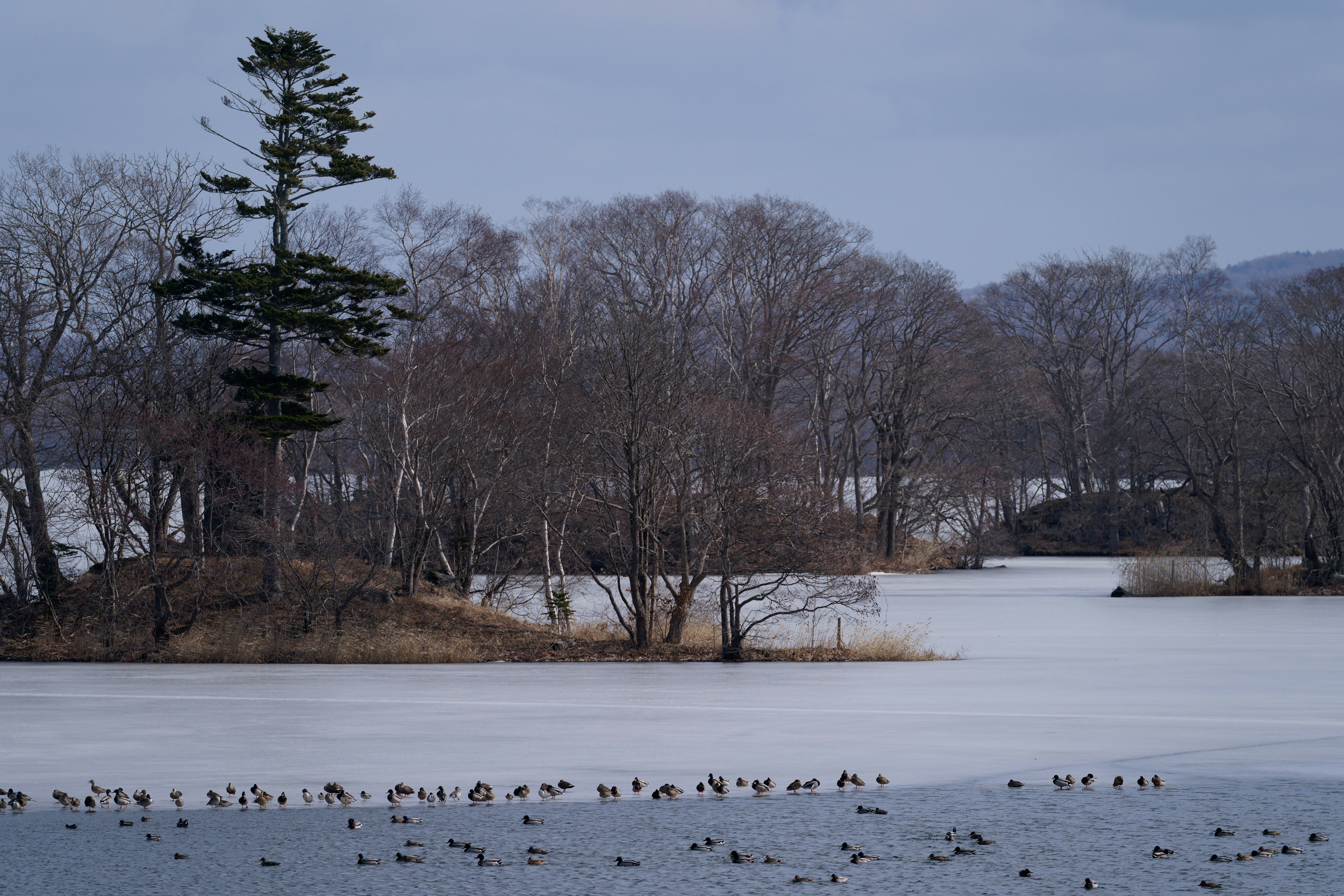 Photo by da_shika_photo