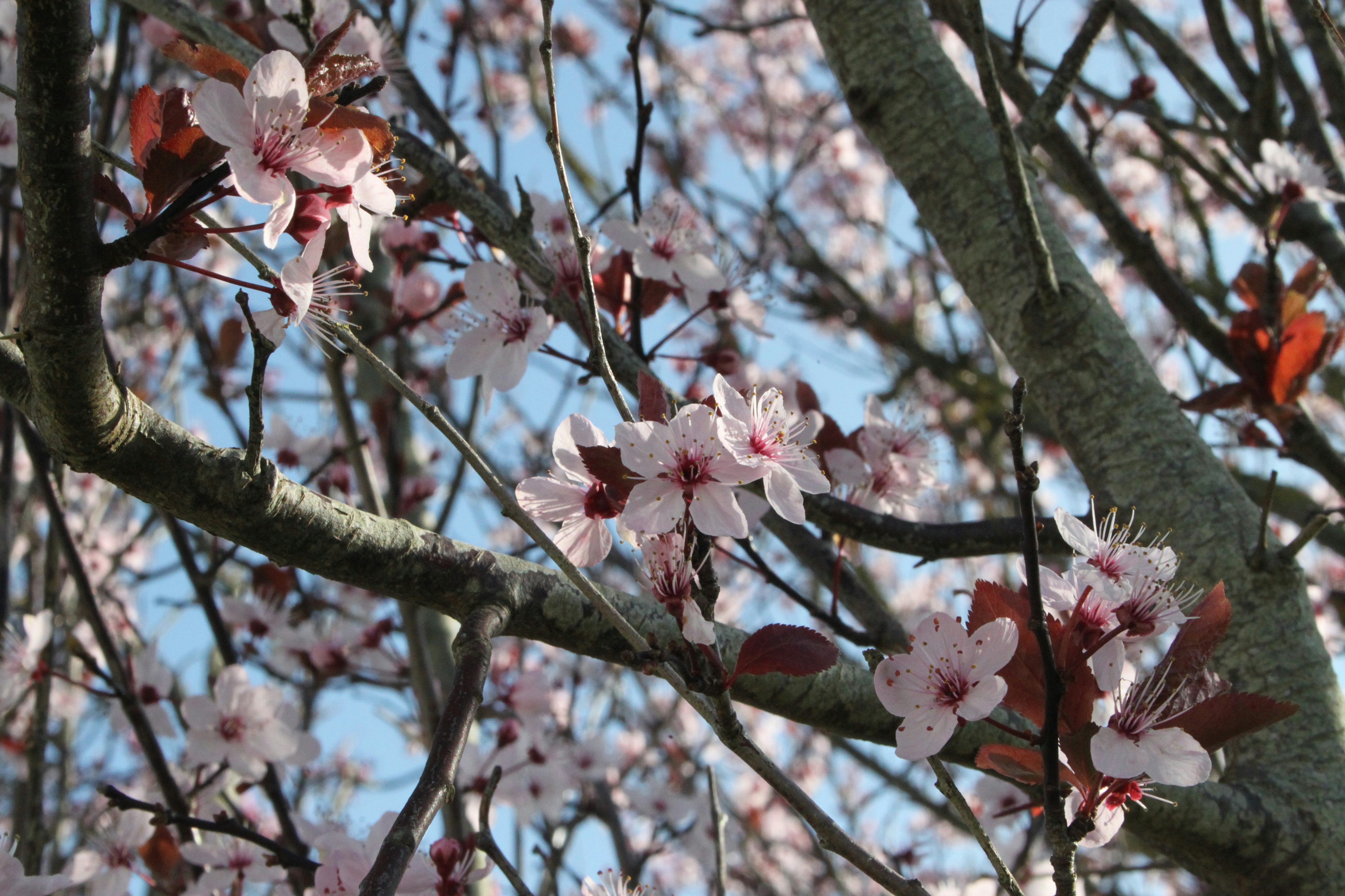 Photo by rubyphotography