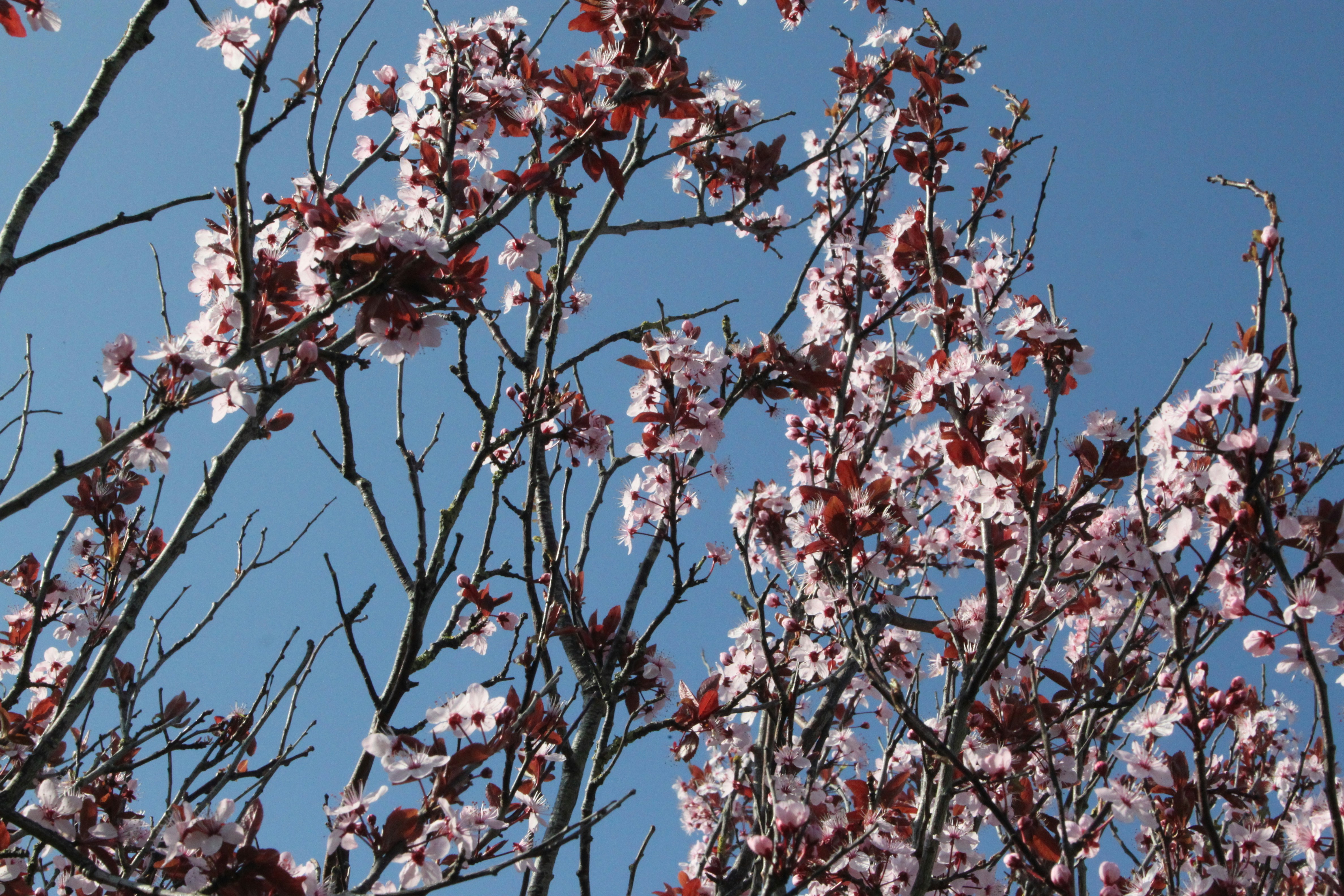 Photo by rubyphotography